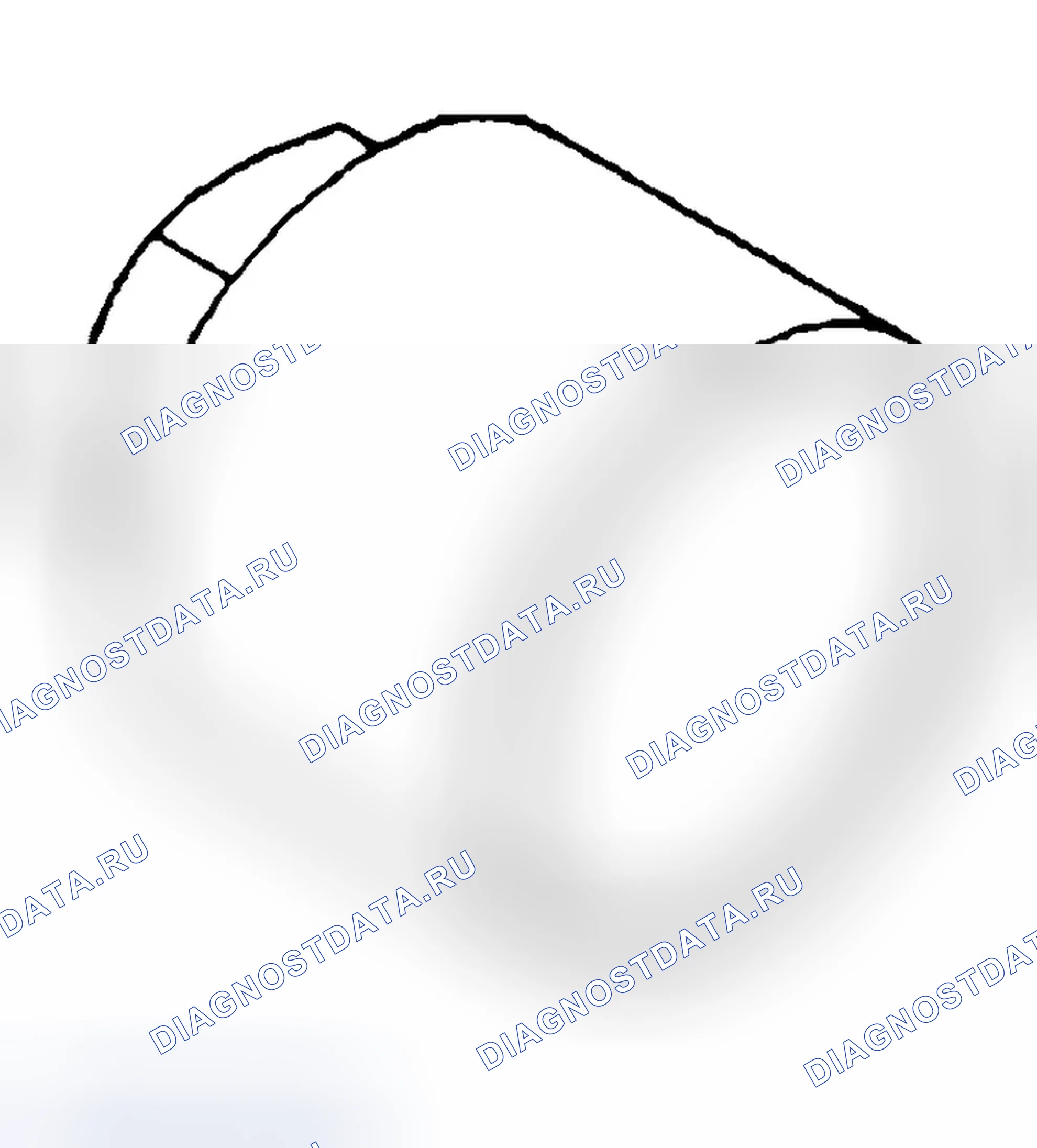 Рис. 271. Jeep Liberty I