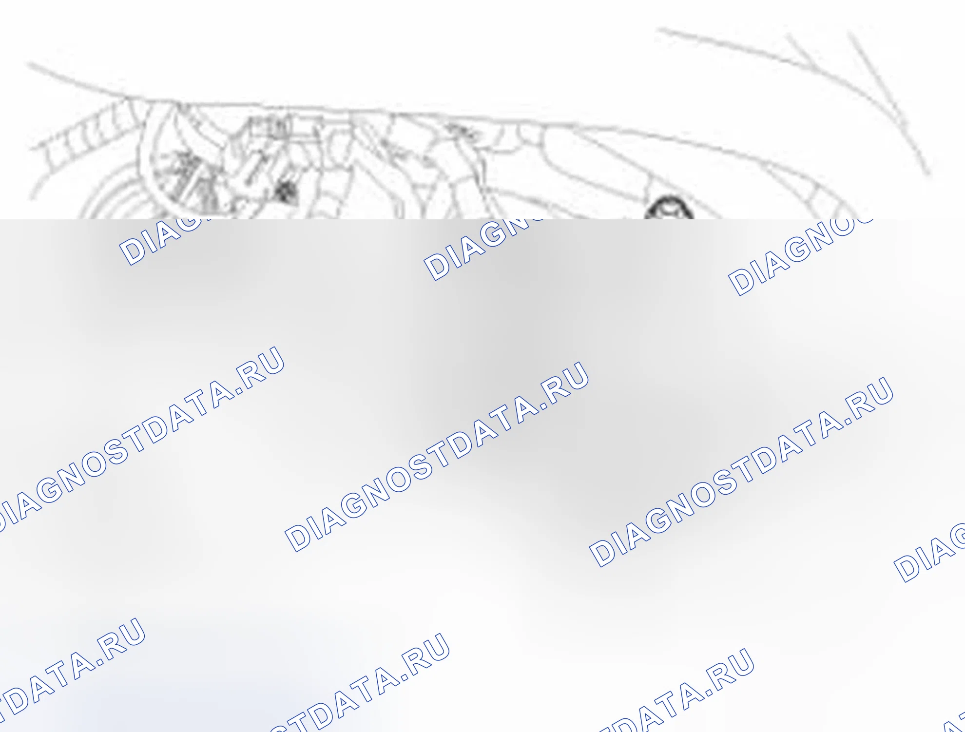 Рис. 445. Hyundai Sonata VI