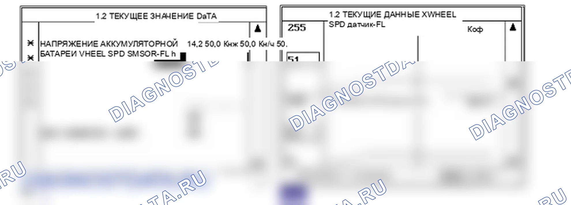 Данные диагностического сканера — C1211. Hyundai Santa Fe CM