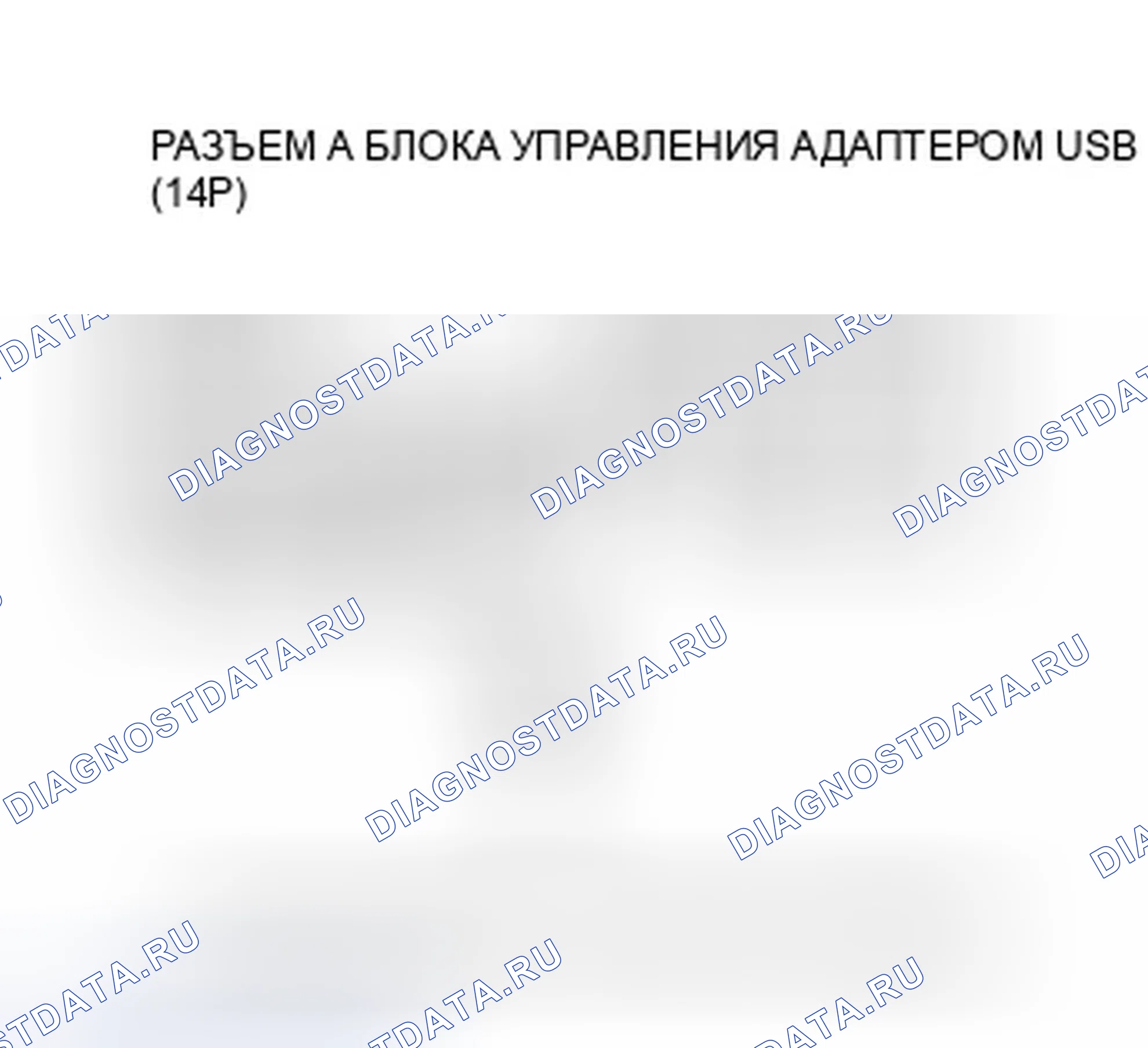 Рис. 191. Honda Crosstour I