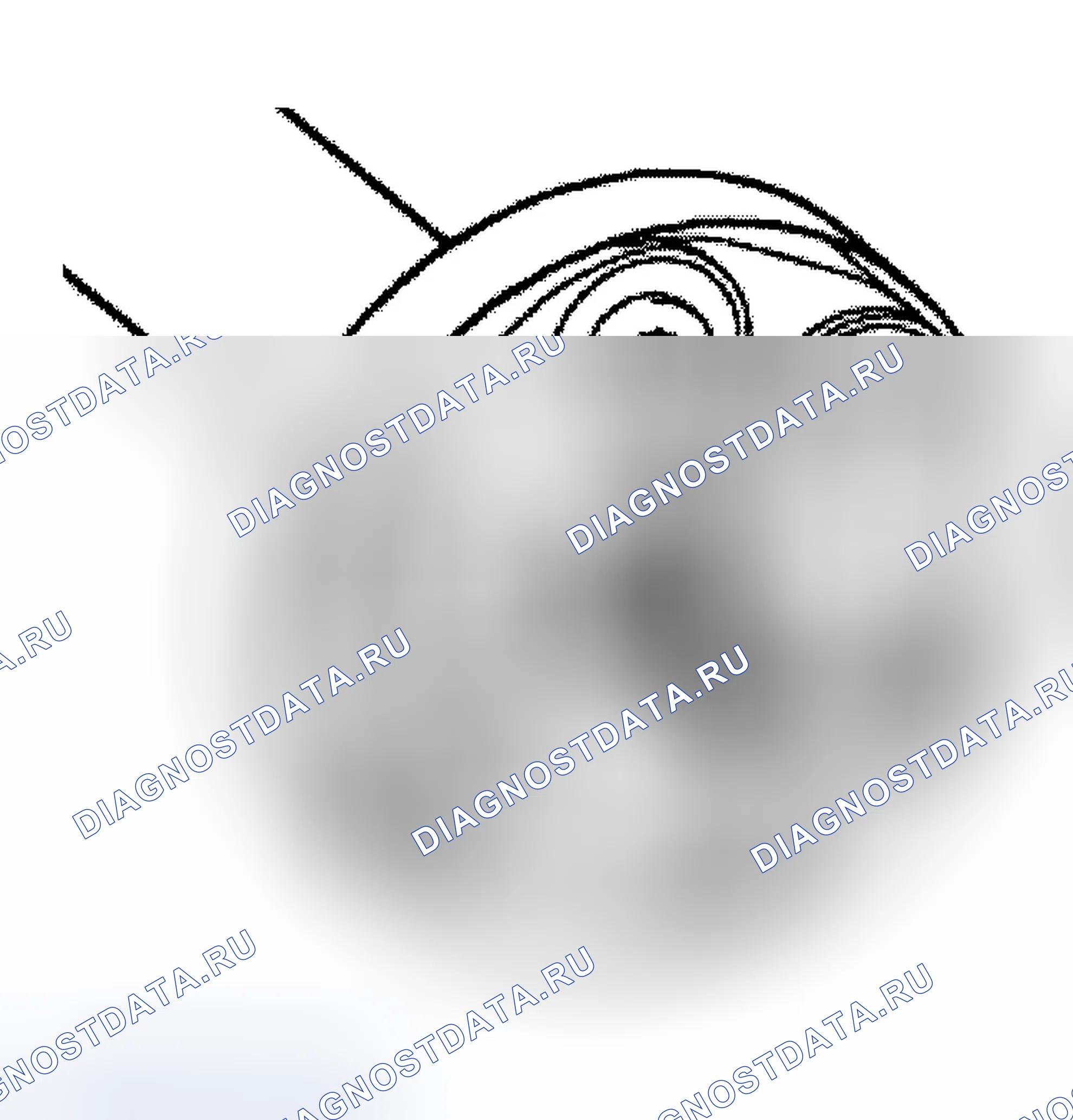Рис. 130. Audi TT 8N рестайлинг