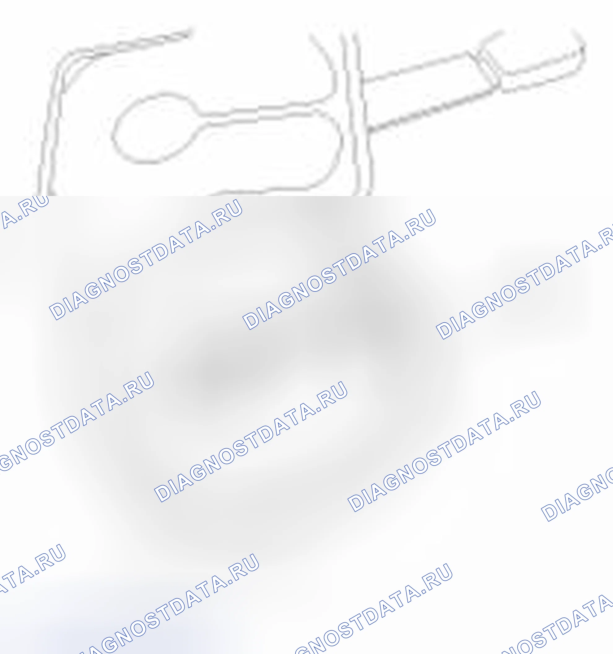 Рис. 46. Geely SC7 I