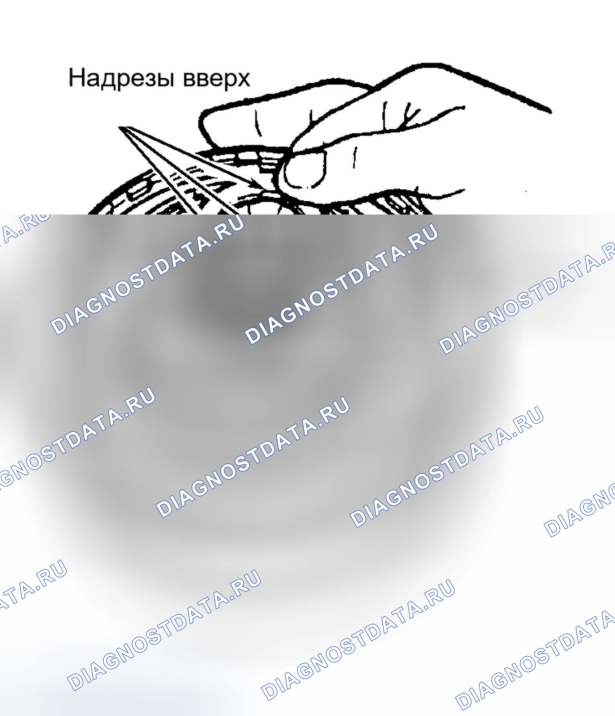 Рис. 124. Ford Expedition I