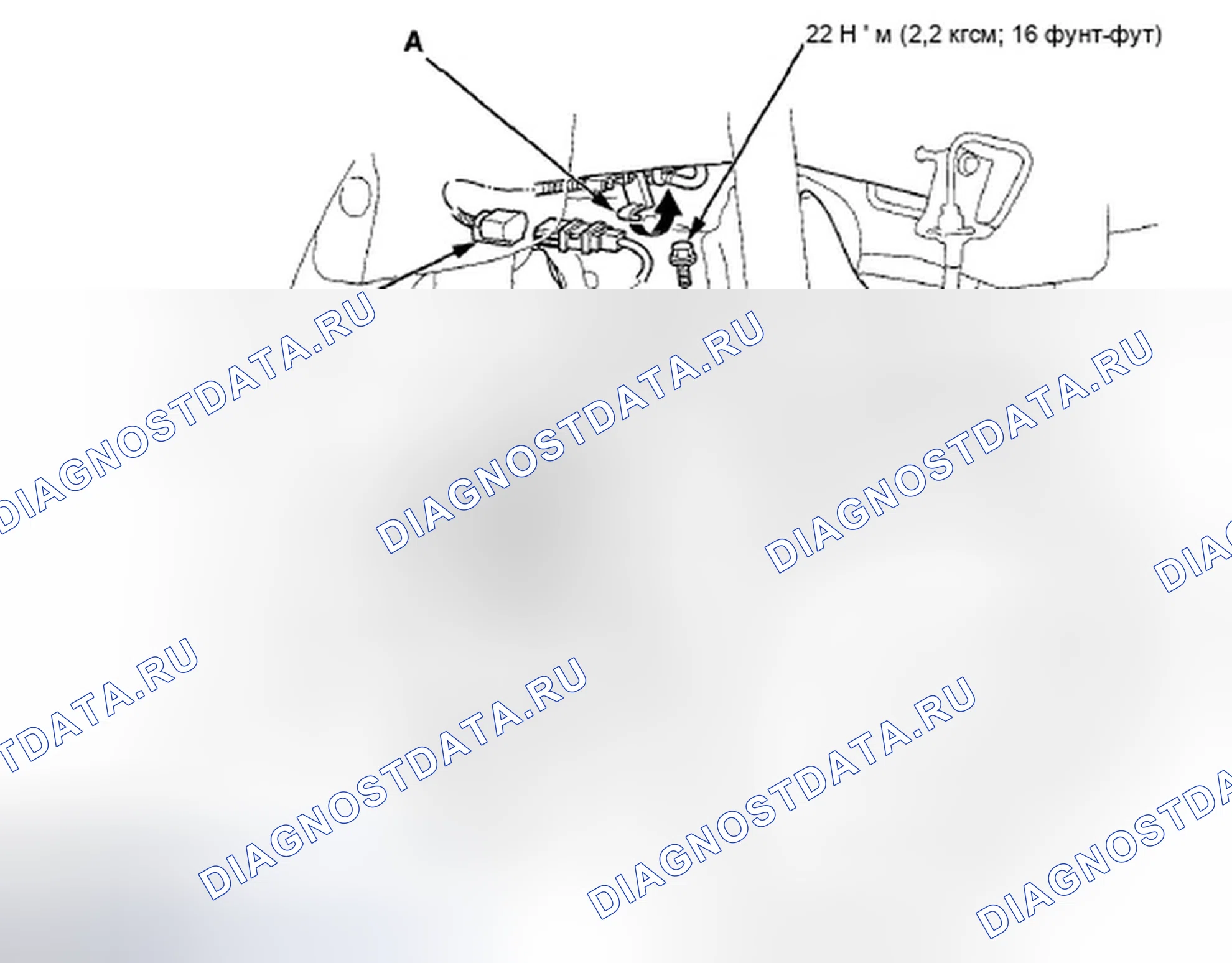 Рис. 116: Задняя часть. Honda Accord VIII