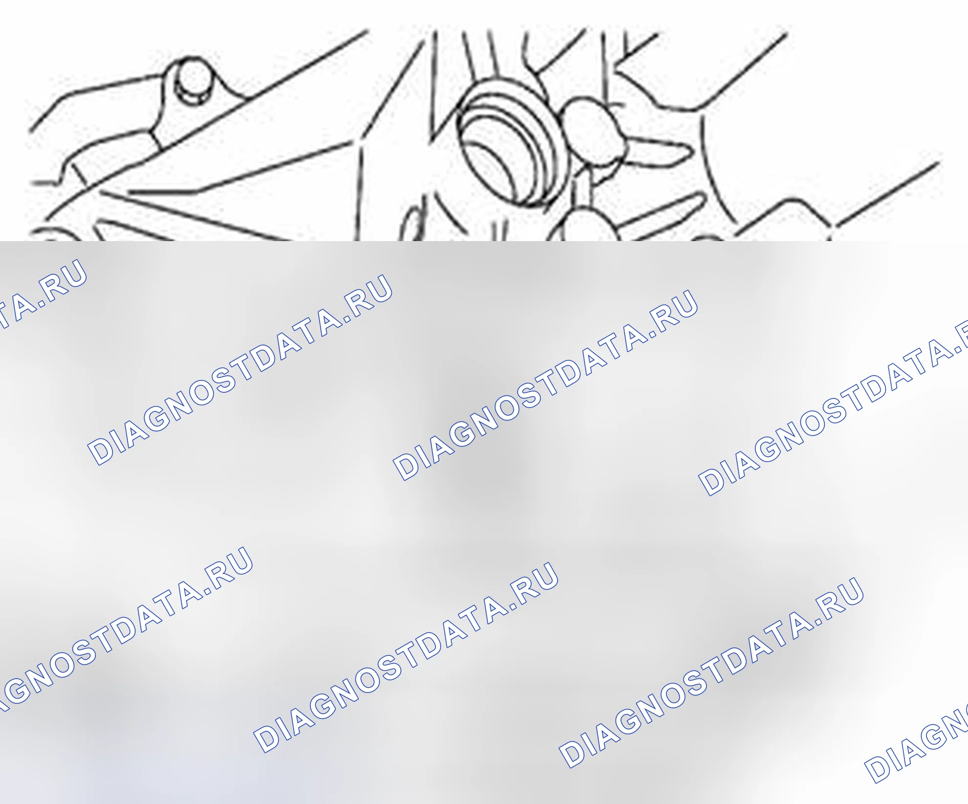 Рис. 143. Suzuki Equator I
