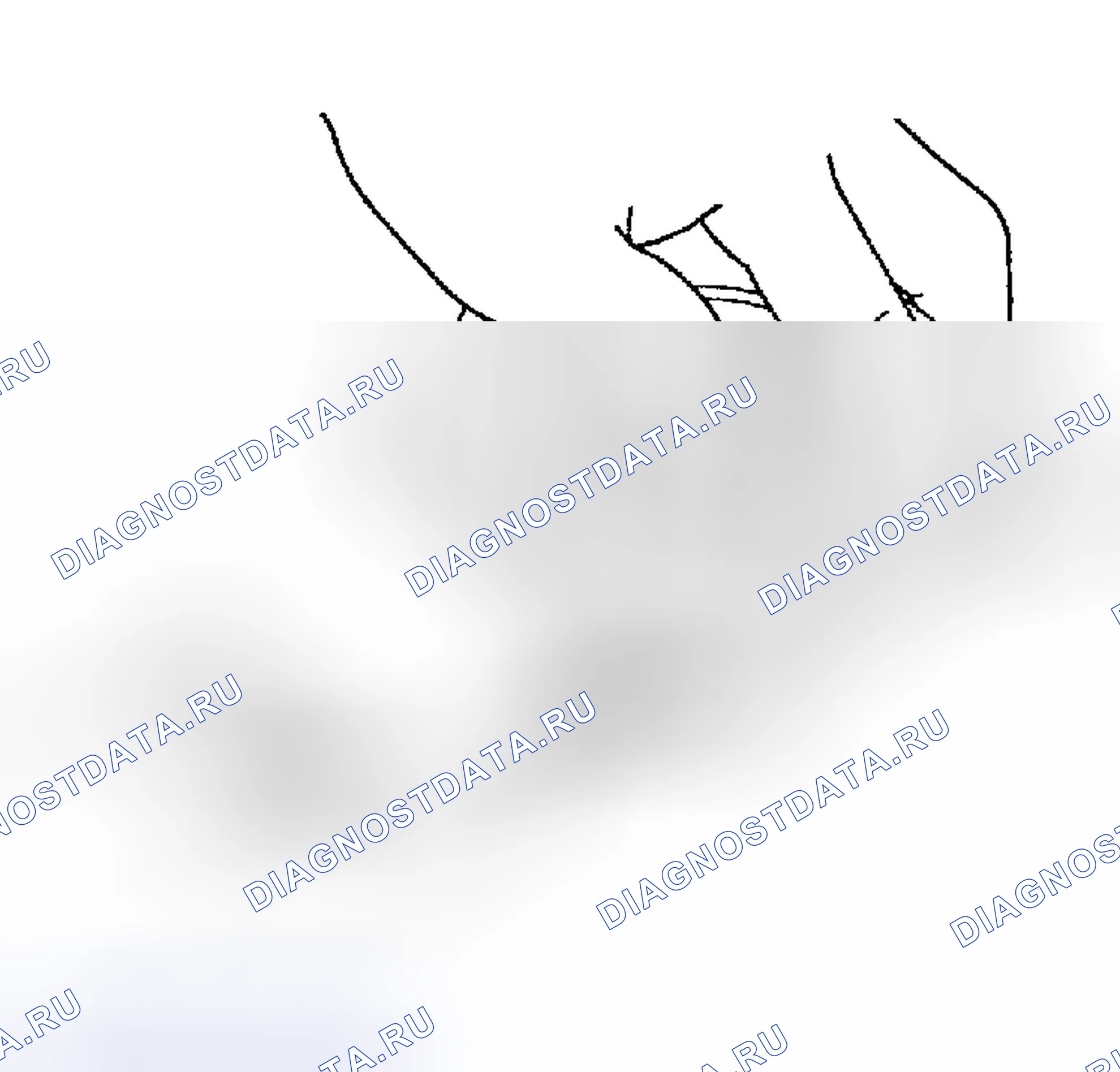 Рис. 1202: Разборка. Honda Odyssey (North America) I