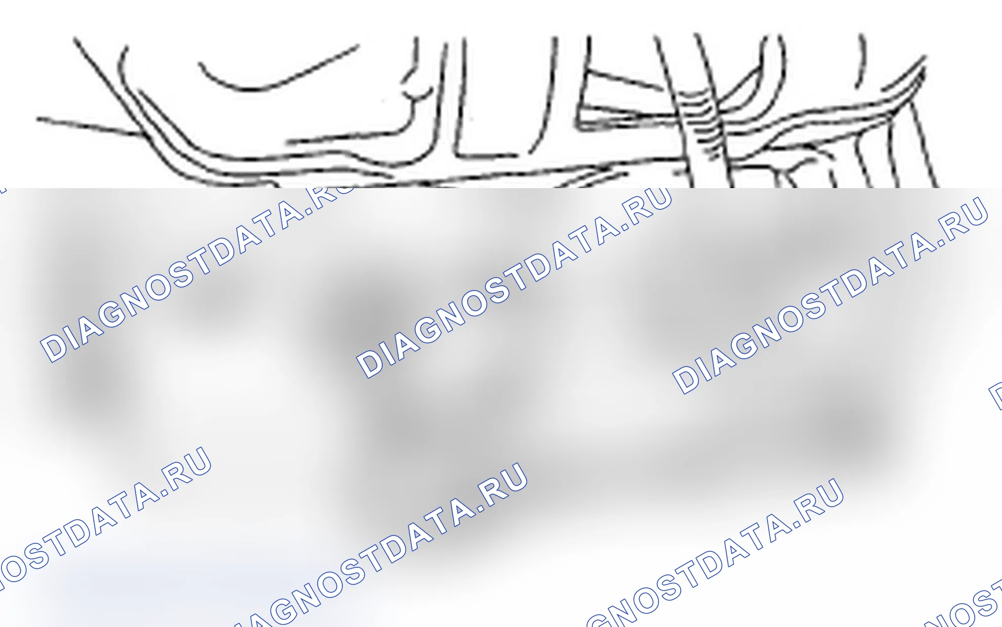 Рис. 30. Subaru Impreza WRX STI GR