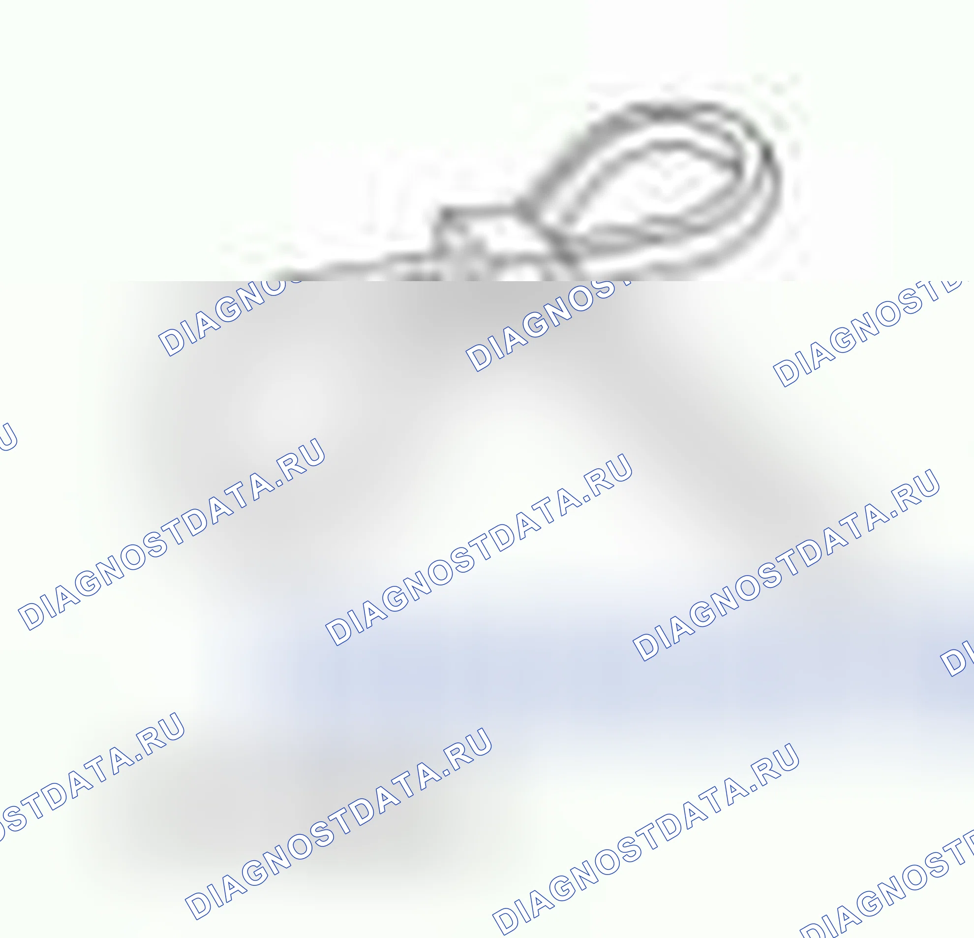 Рис. 467. Hyundai ix55 I