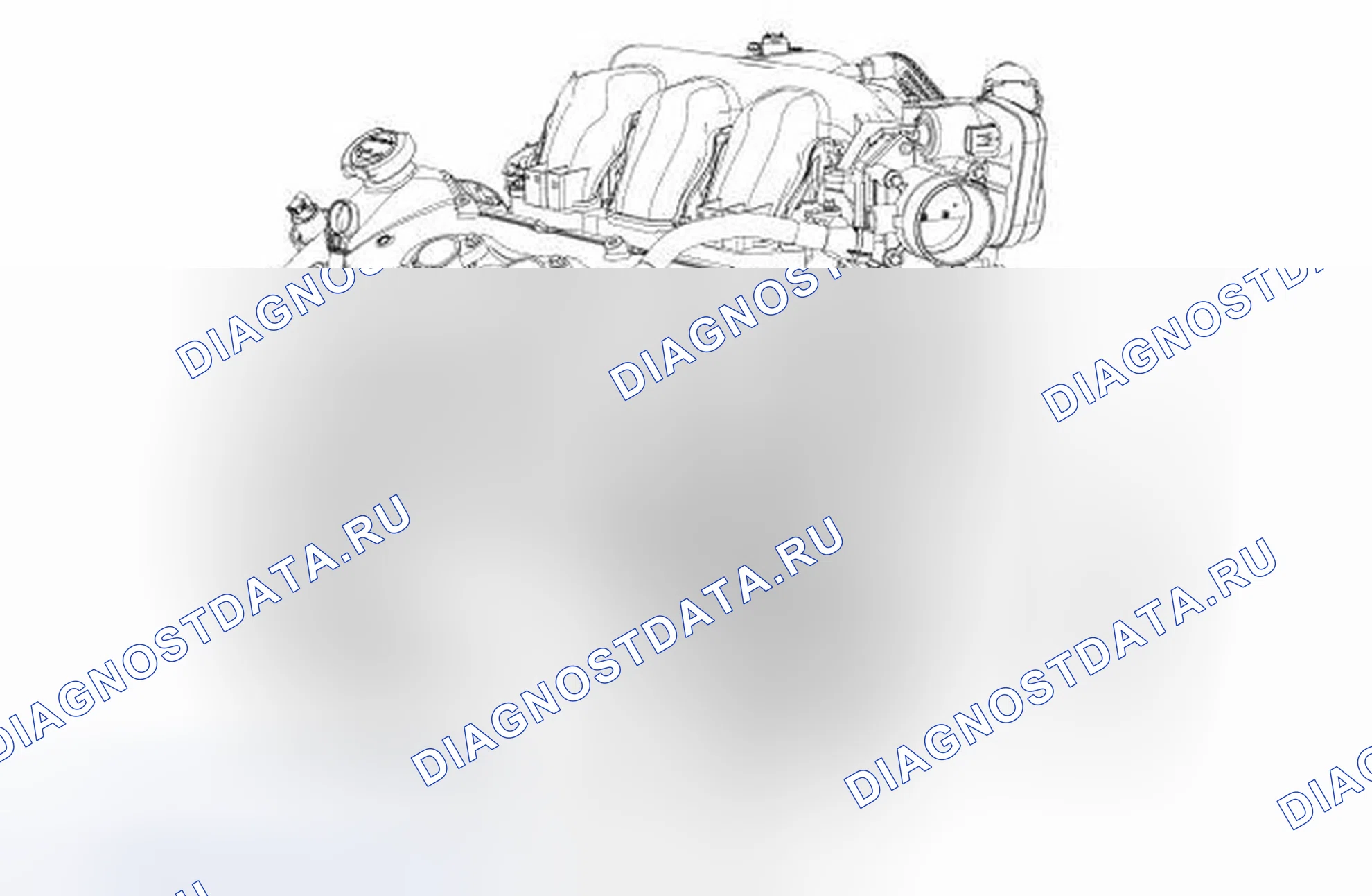 Рис. 11: Ремень насоса охлаждающей жидкости. Ford Fusion I рестайлинг