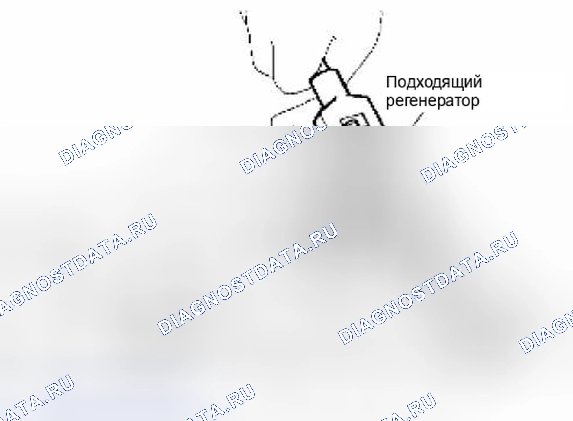 Рис. 335. Suzuki Equator I