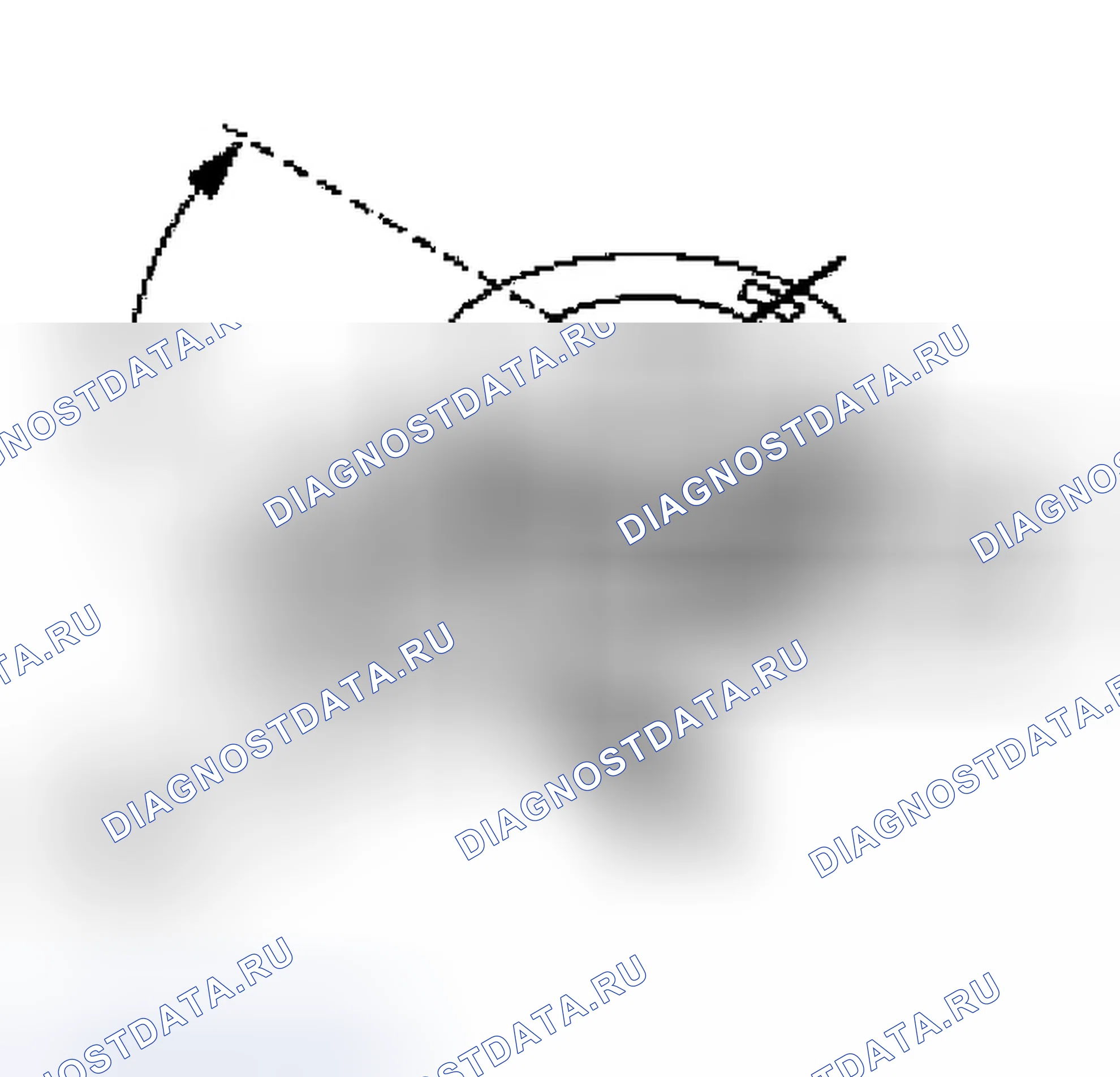 Рис. 5: Поршень - Диаметр. Ford Escape I