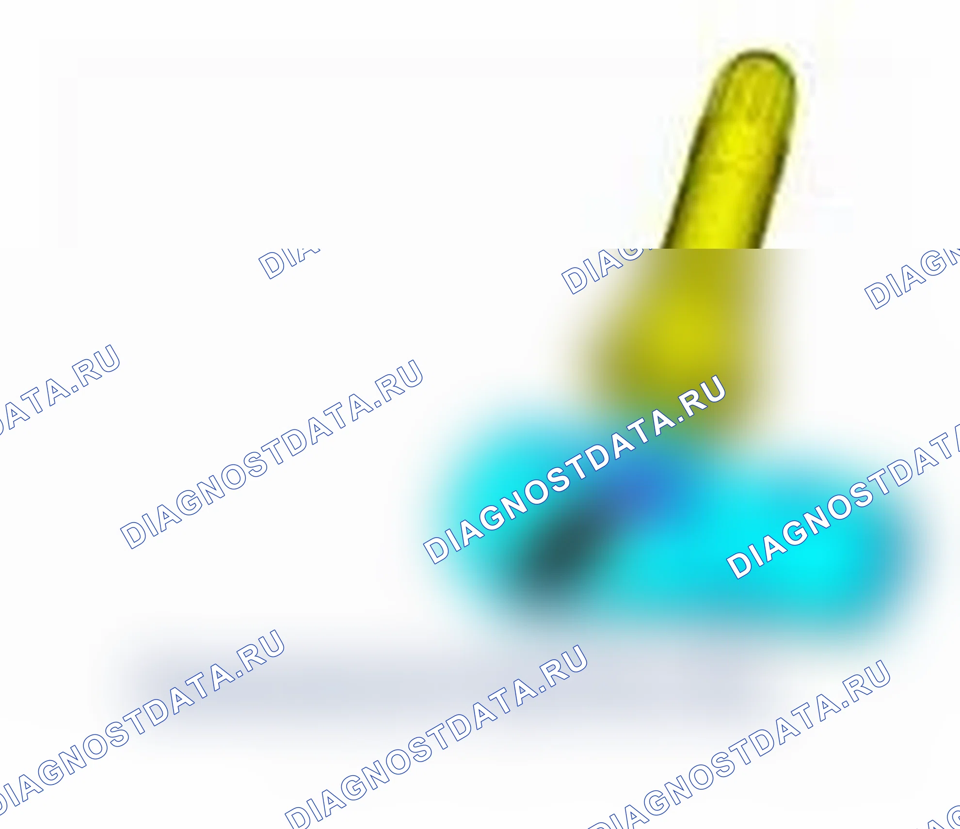 Рис. 4. Ford Focus III