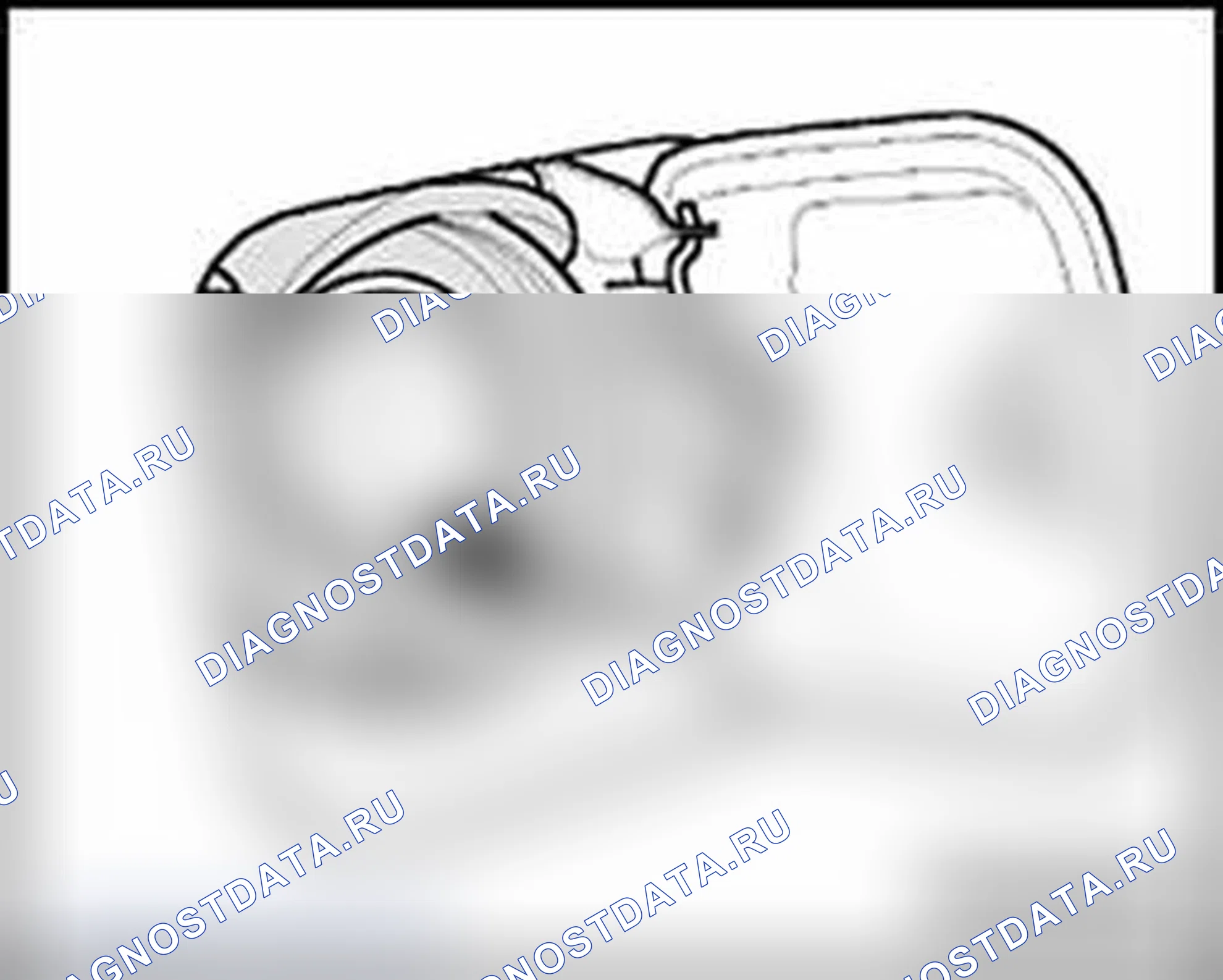 Рис. 14. Audi S4 B7