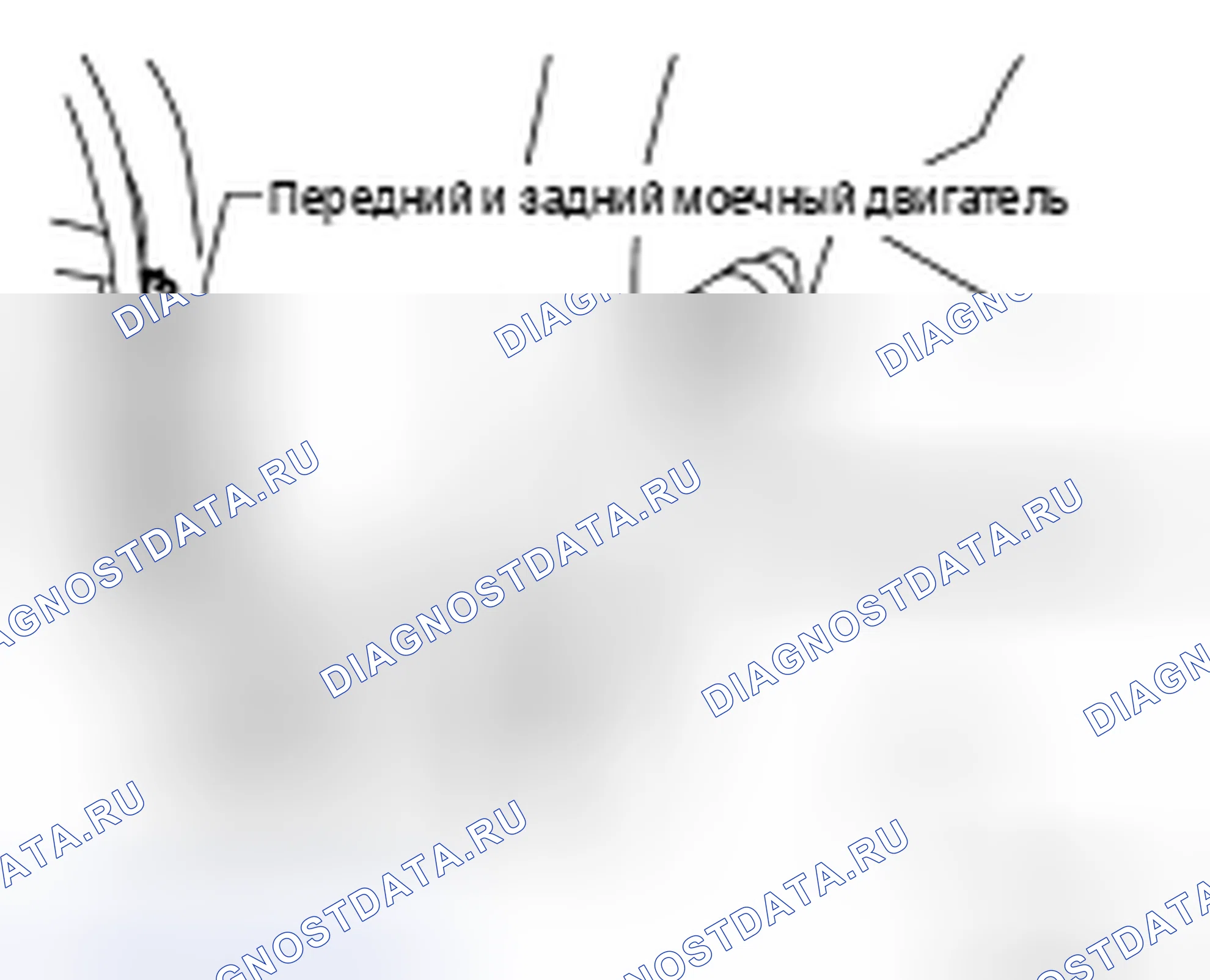 Рис. 22: Удаление. Honda Torneo I