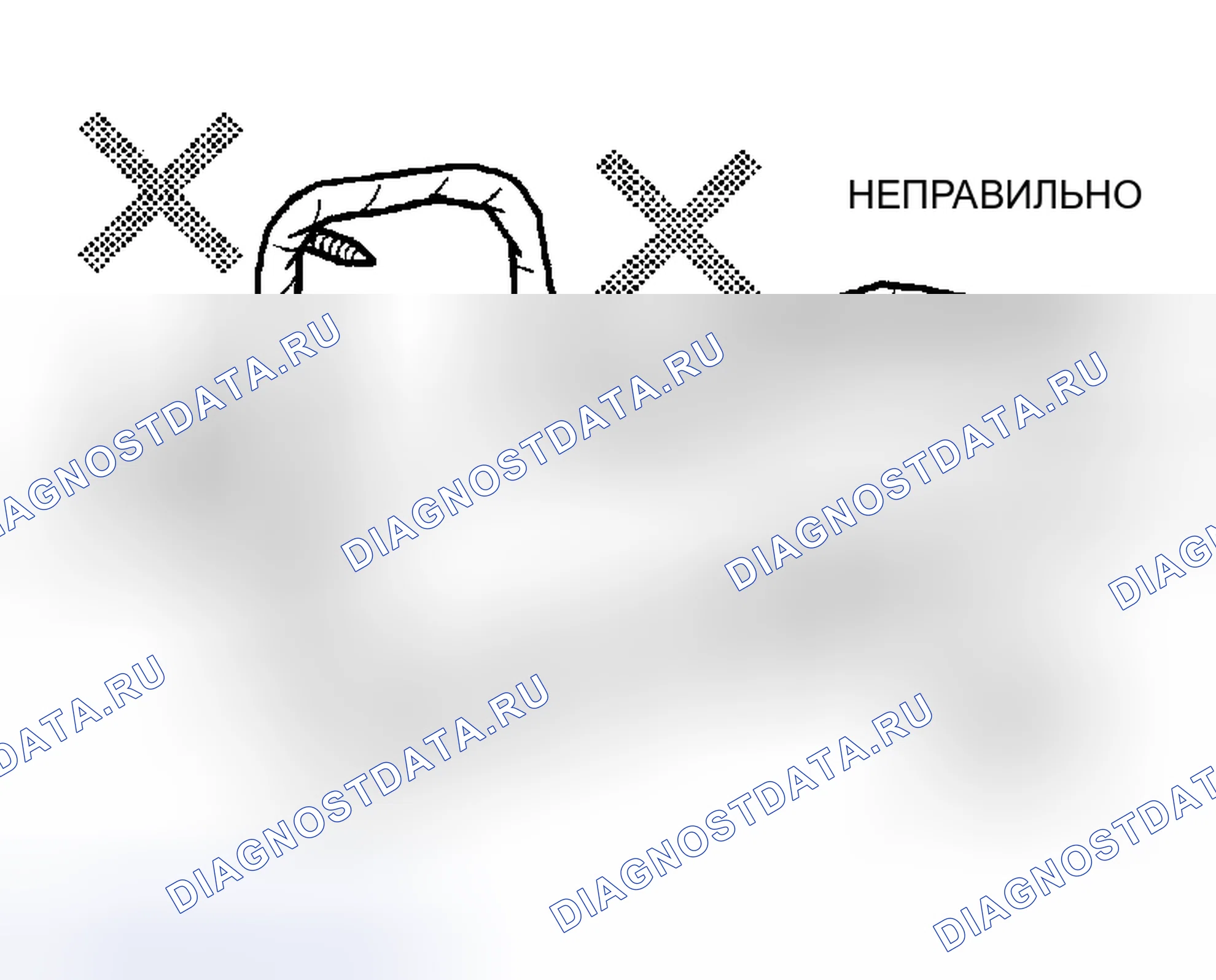 Рис. 55. Lexus RX II