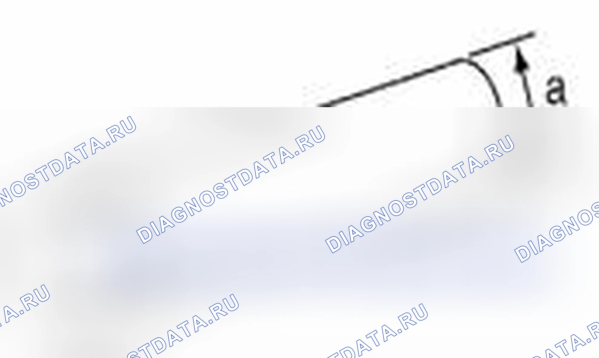 Рис. 211. Suzuki Equator I