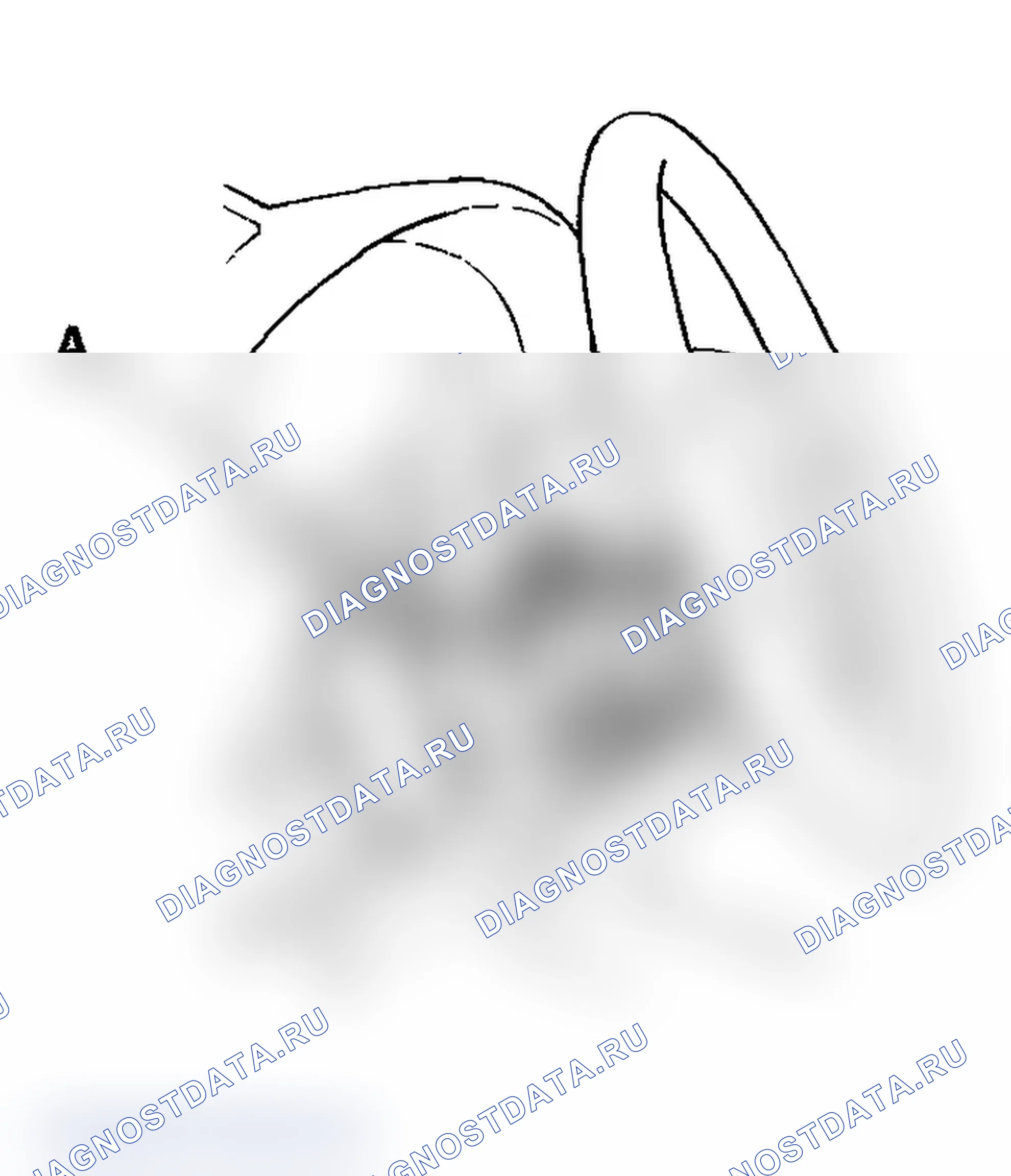 Рис. 106. Acura RSX I