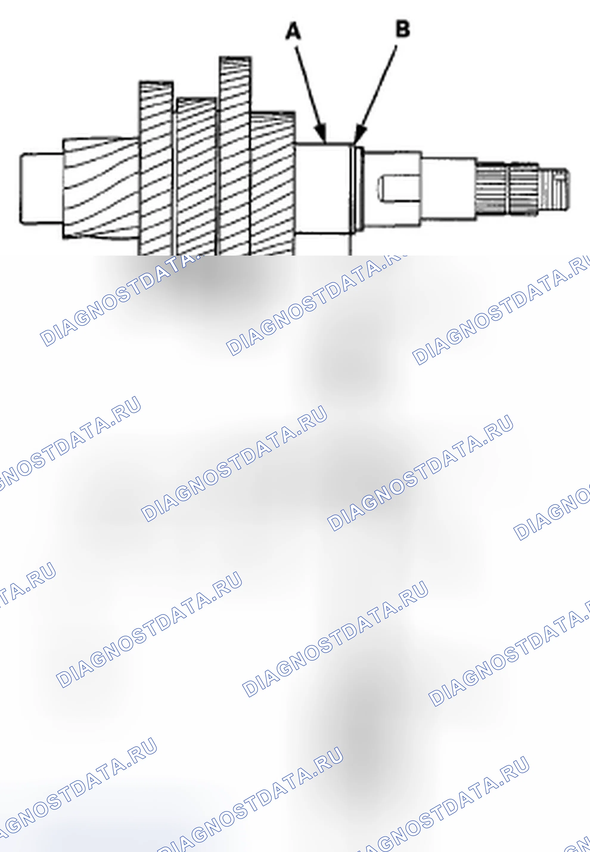 Рис. 309. Honda Crosstour I