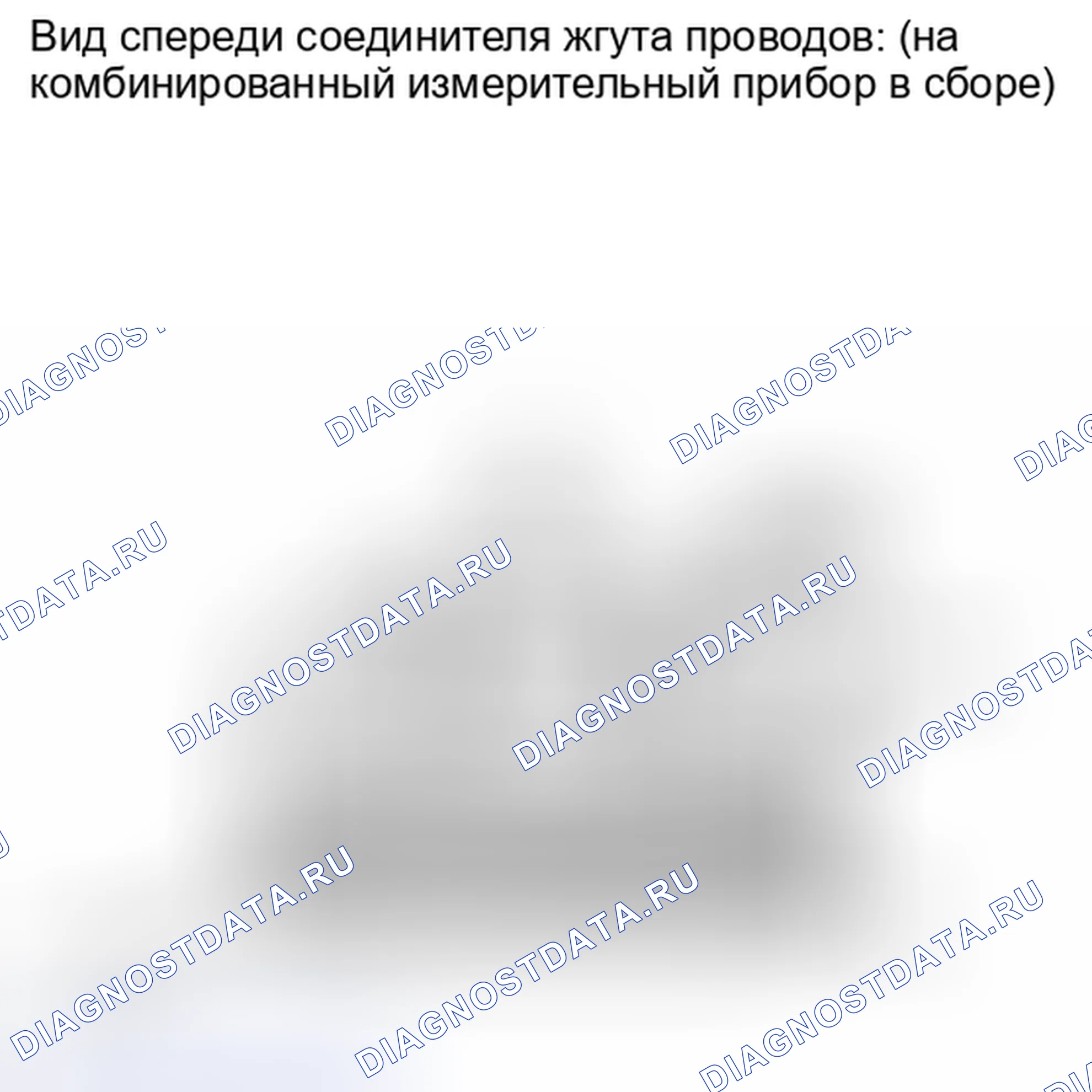 Рис. 309. Lexus IS F I