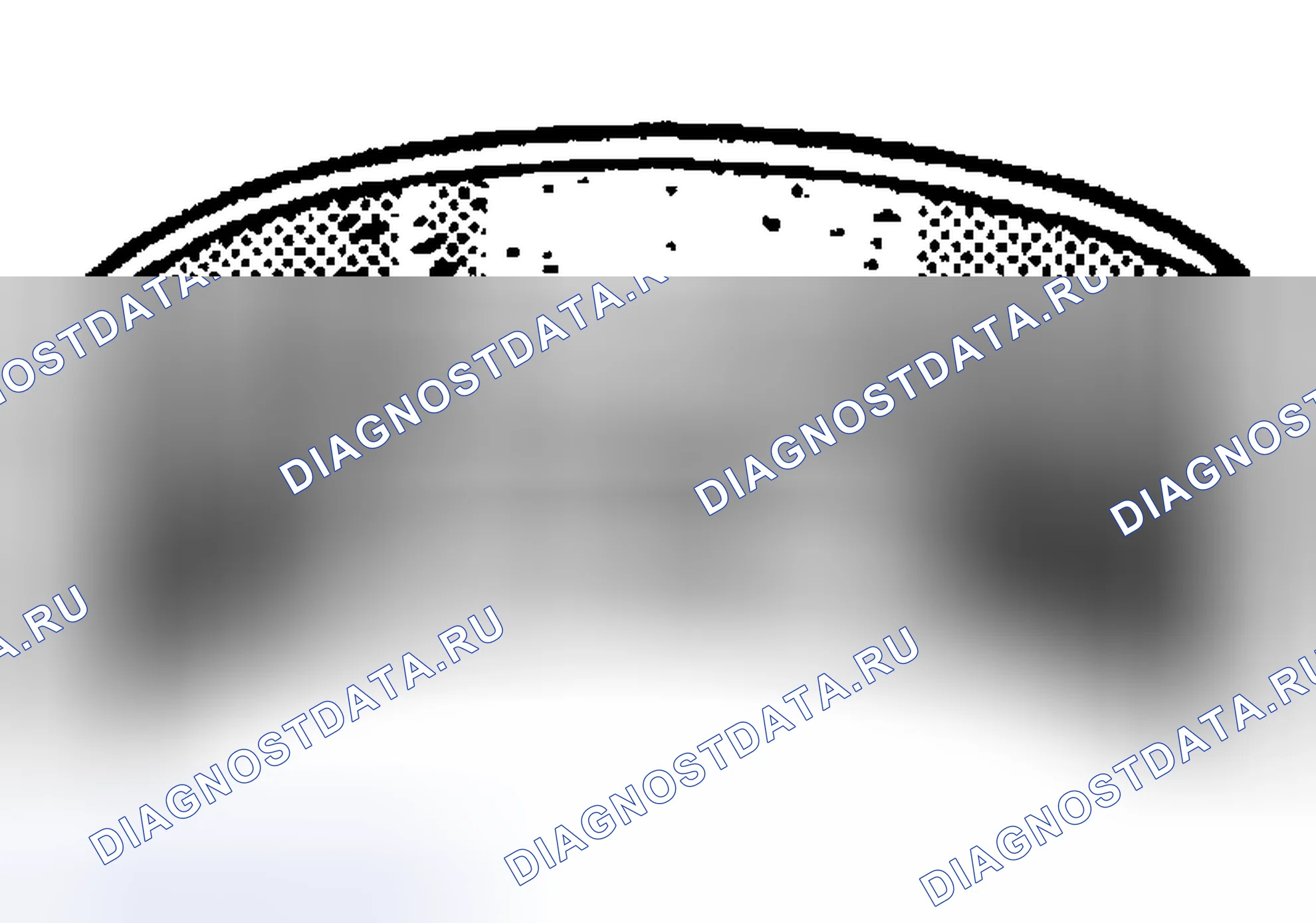 Рис. 1543. Hyundai Terracan I