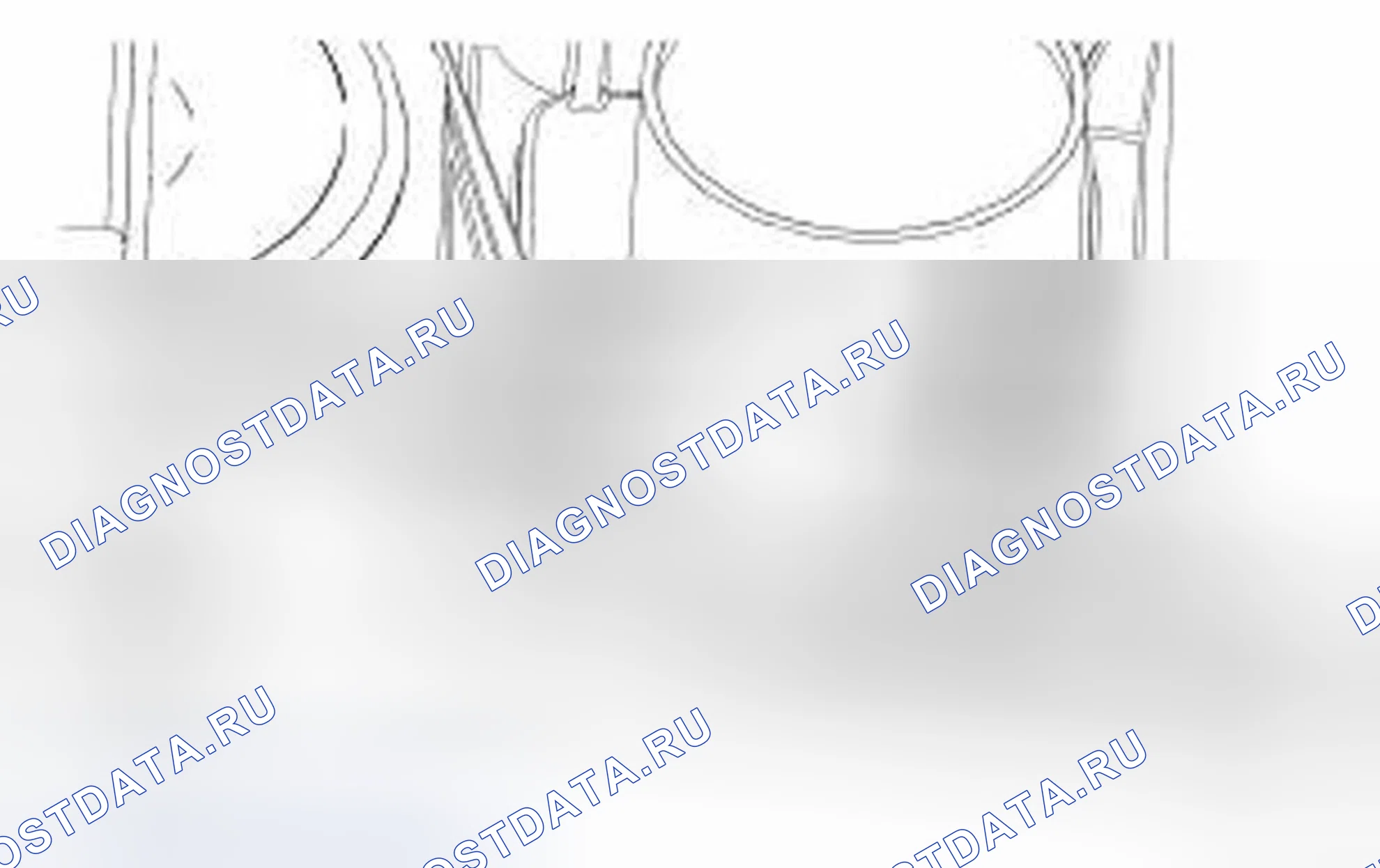 Рис. 13. Ford Focus II