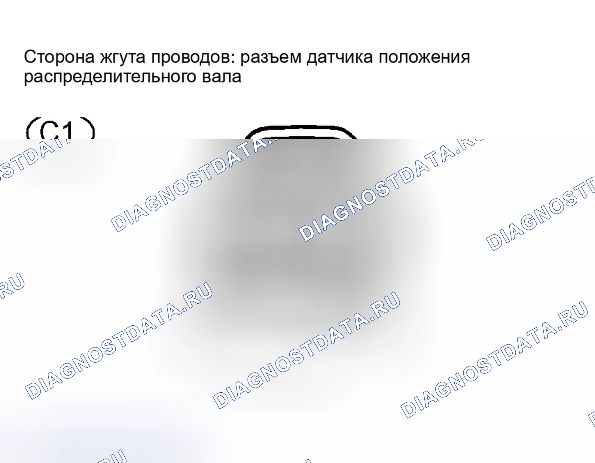 Рис. 175. Scion xB I