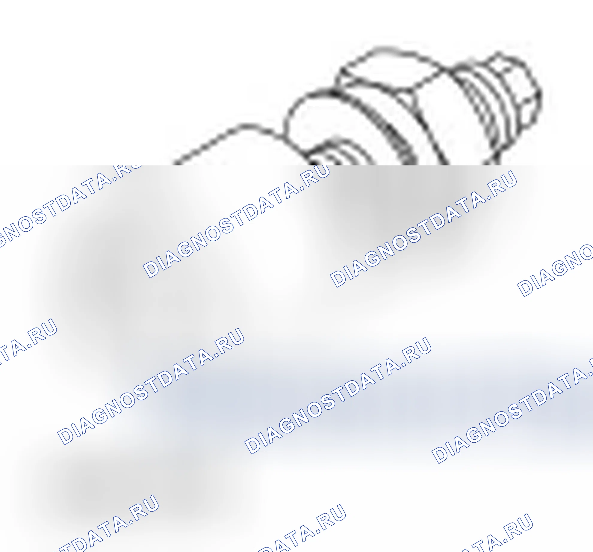 Рис. 3. Ford Focus II