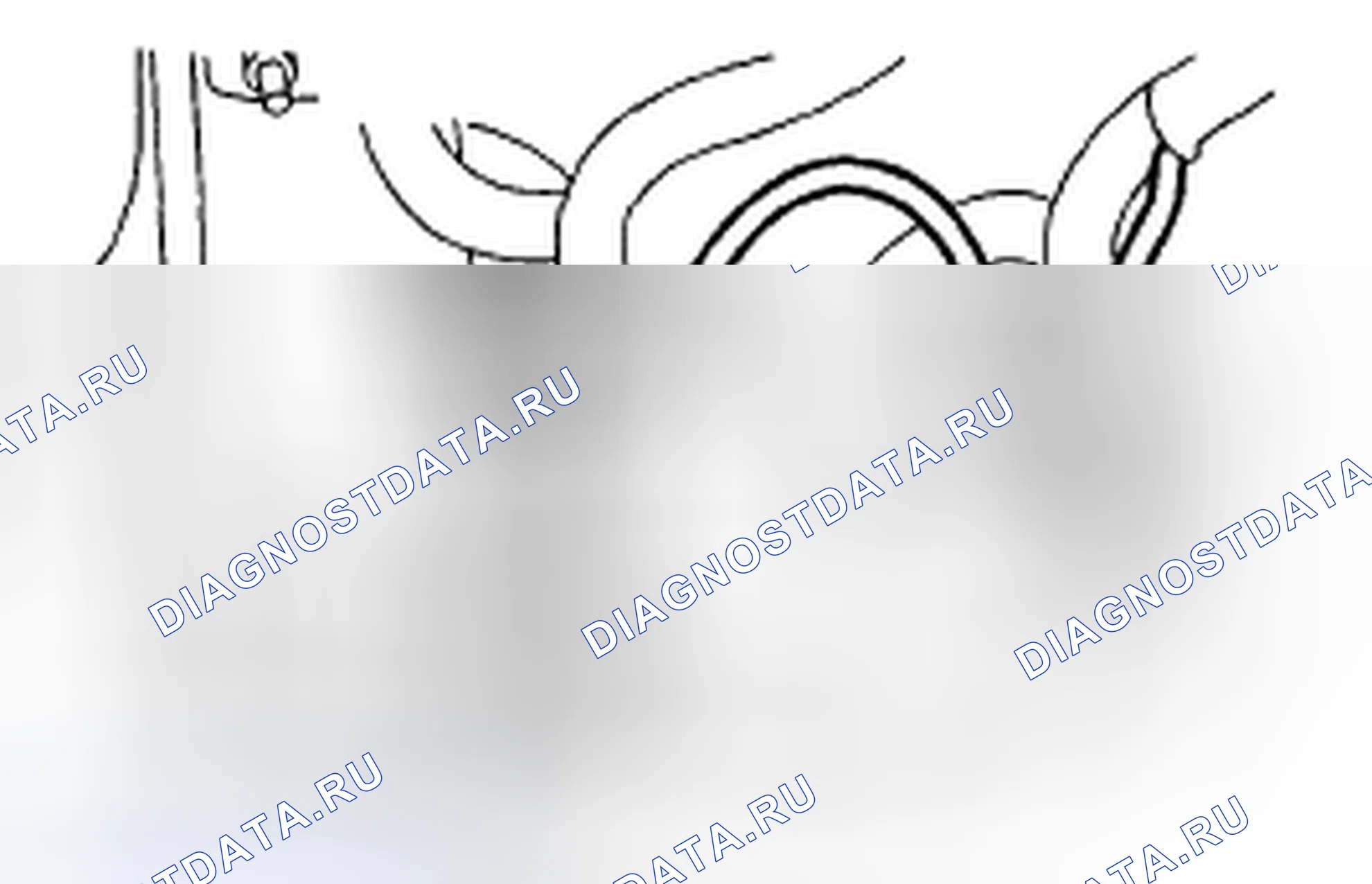 Рис. 485. Subaru Impreza GD/GC/GG рестайлинг 2