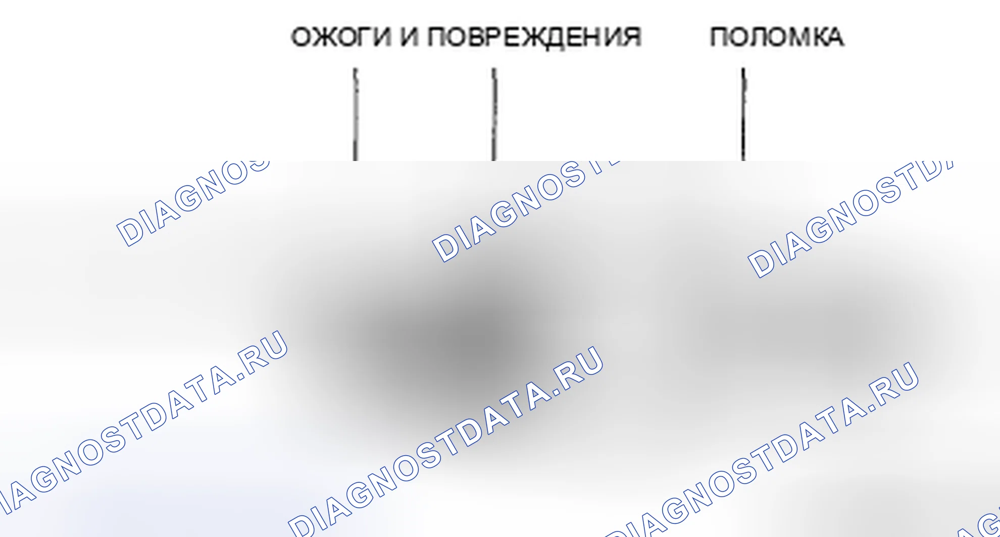 Рис. 4: Визуальный осмотр. Mazda 6 GH рестайлинг
