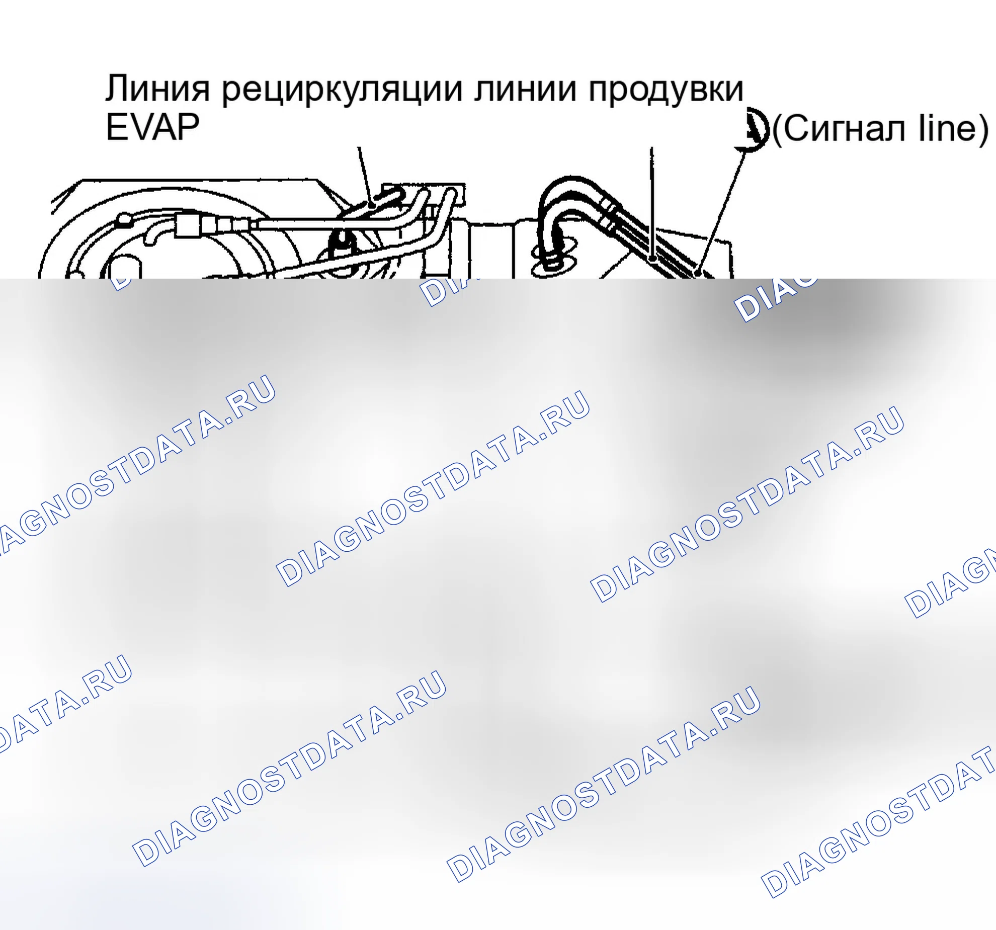 Рис. 26. Infiniti M45 II