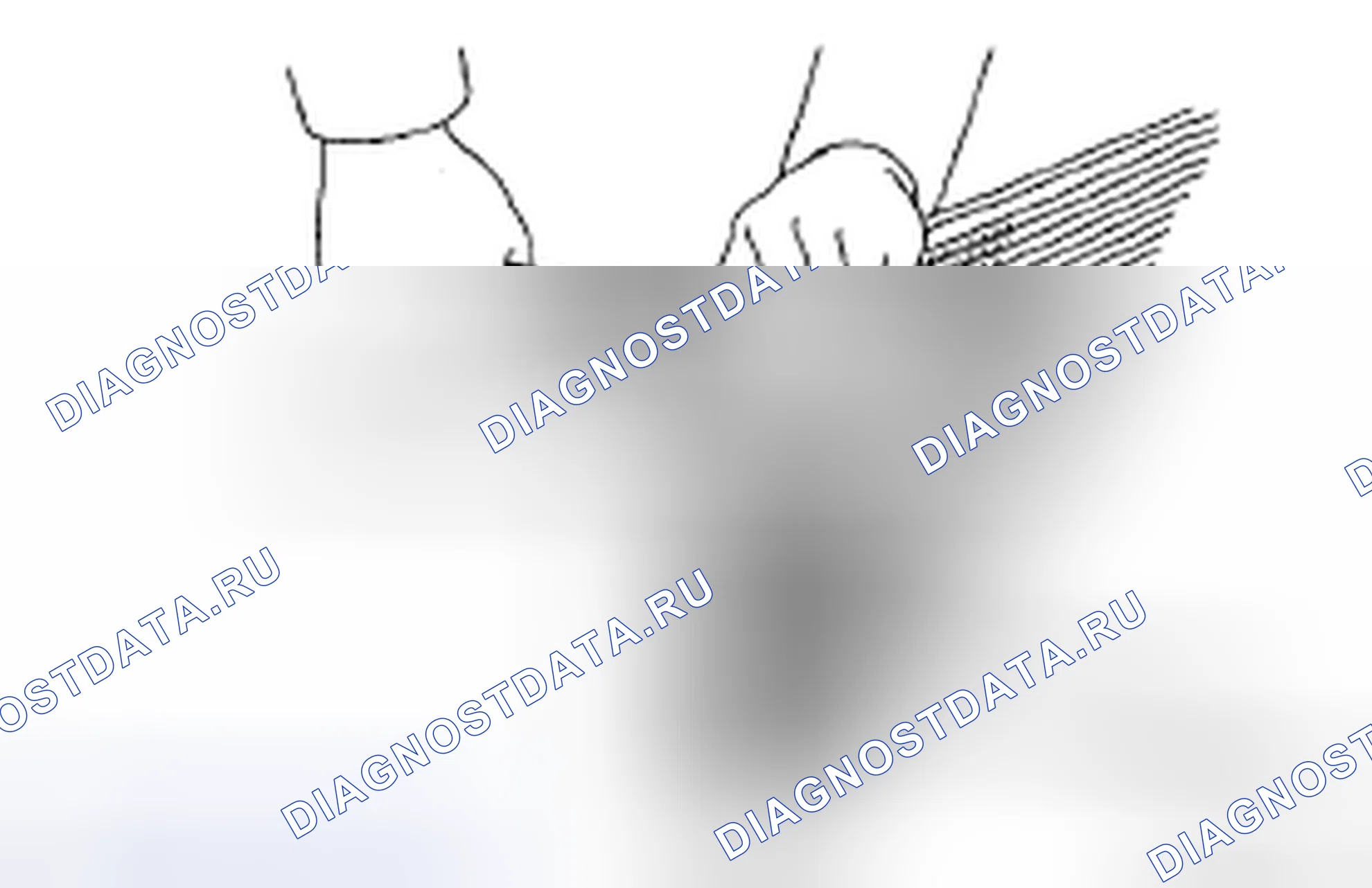 Рис. 213: РАЗБОРКА. Honda Accord IX