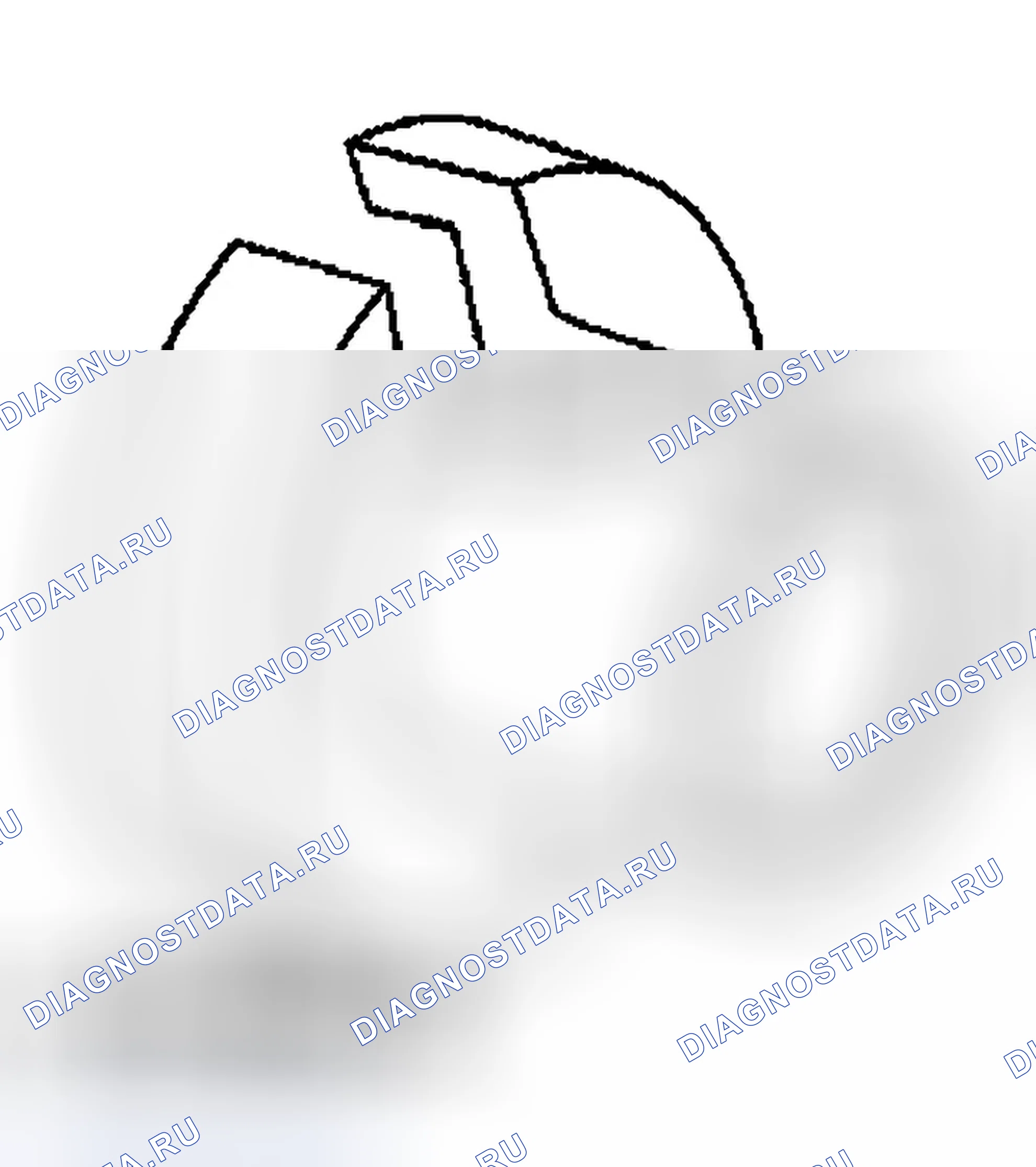 Рис. 13: Специальный инструмент (ы). Ford Escape I рестайлинг