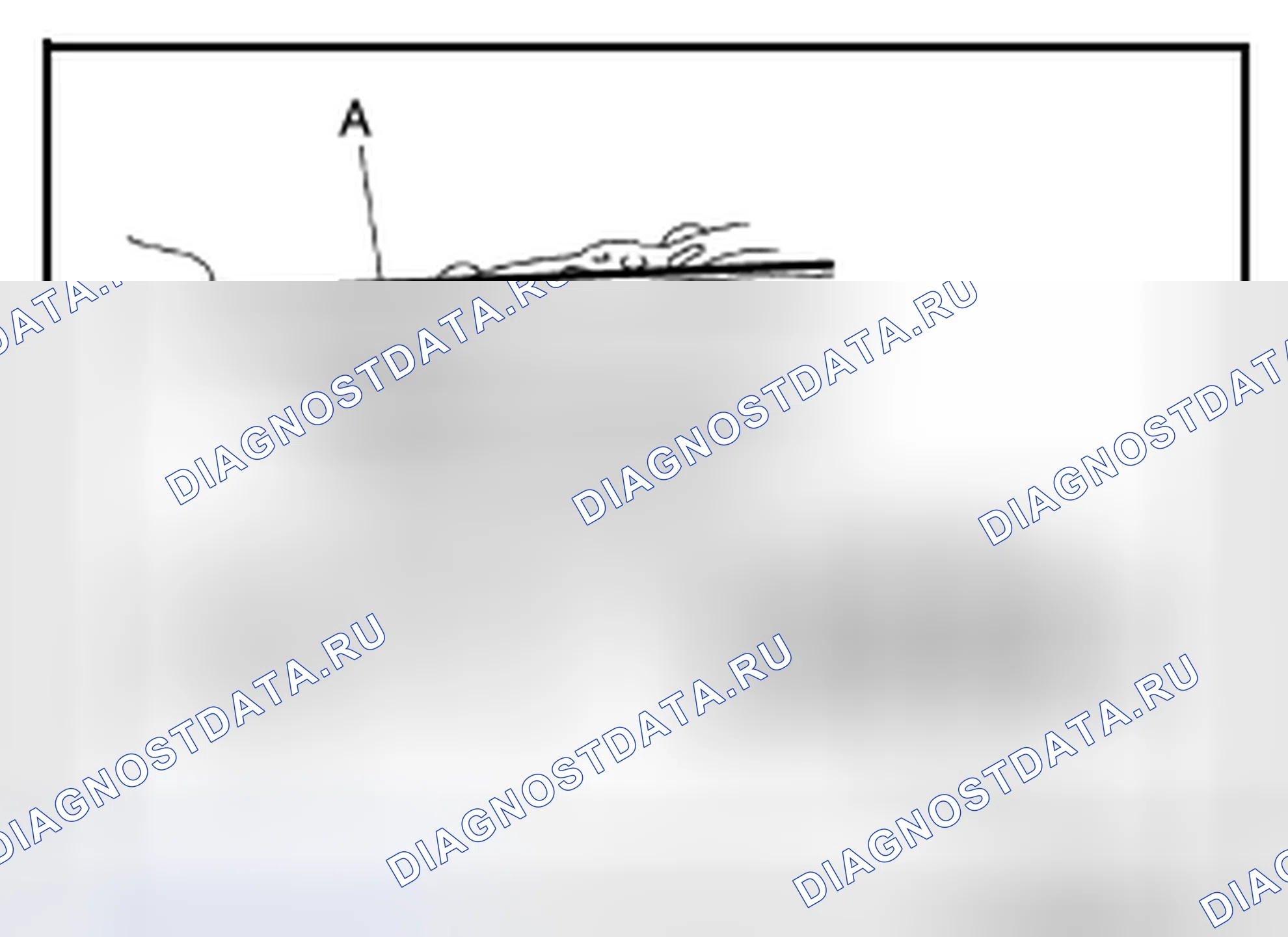 Рис. 265. Infiniti Q70 I рестайлинг