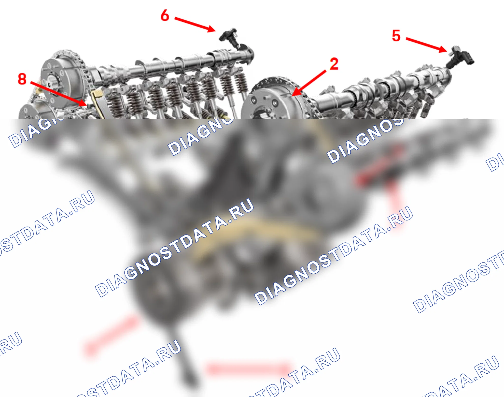 Обзор монтажа привода распределительного вала двигателя V8. Porsche Cayenne III