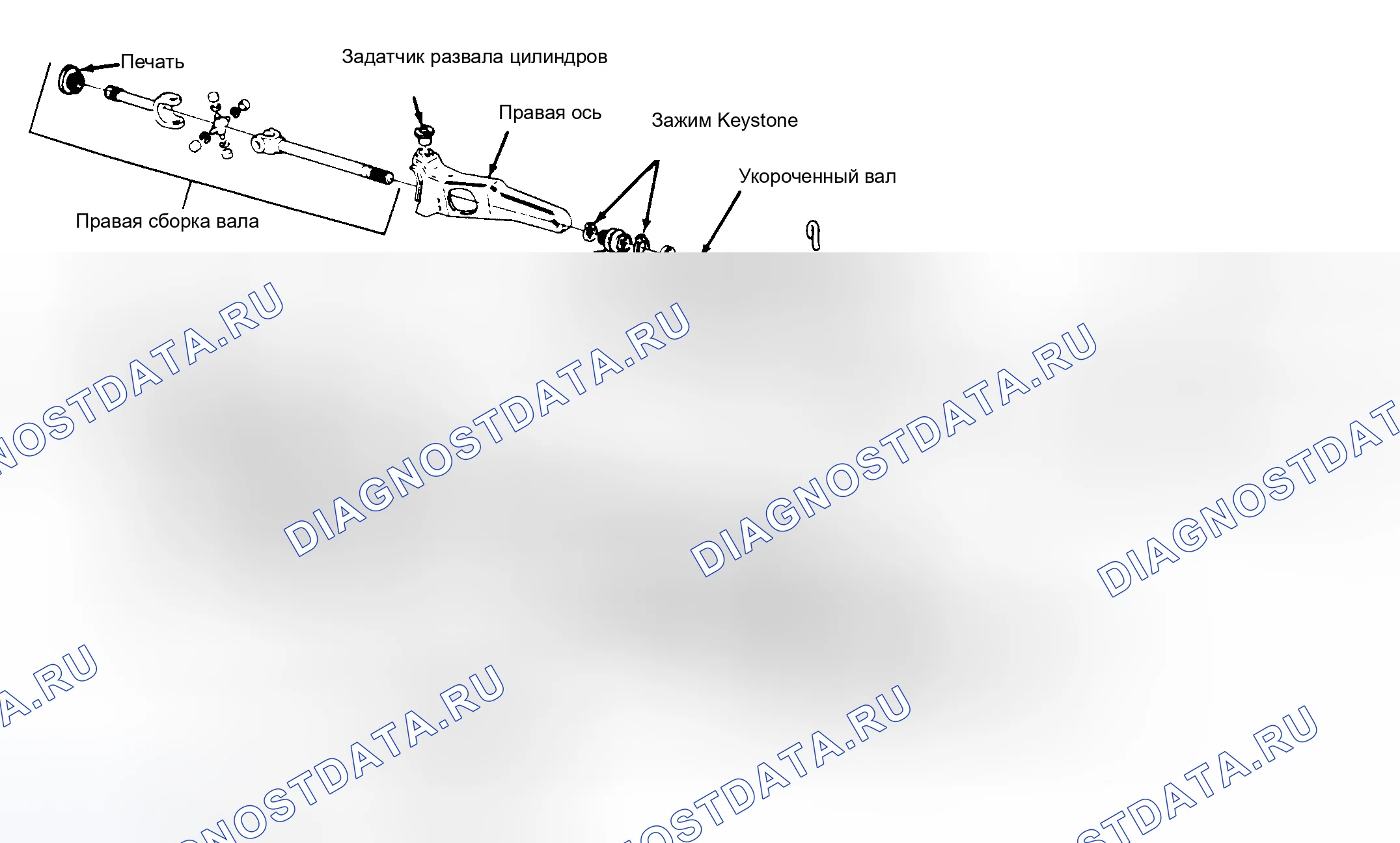 Рис. 7. Ford Cab & Chassis F350 