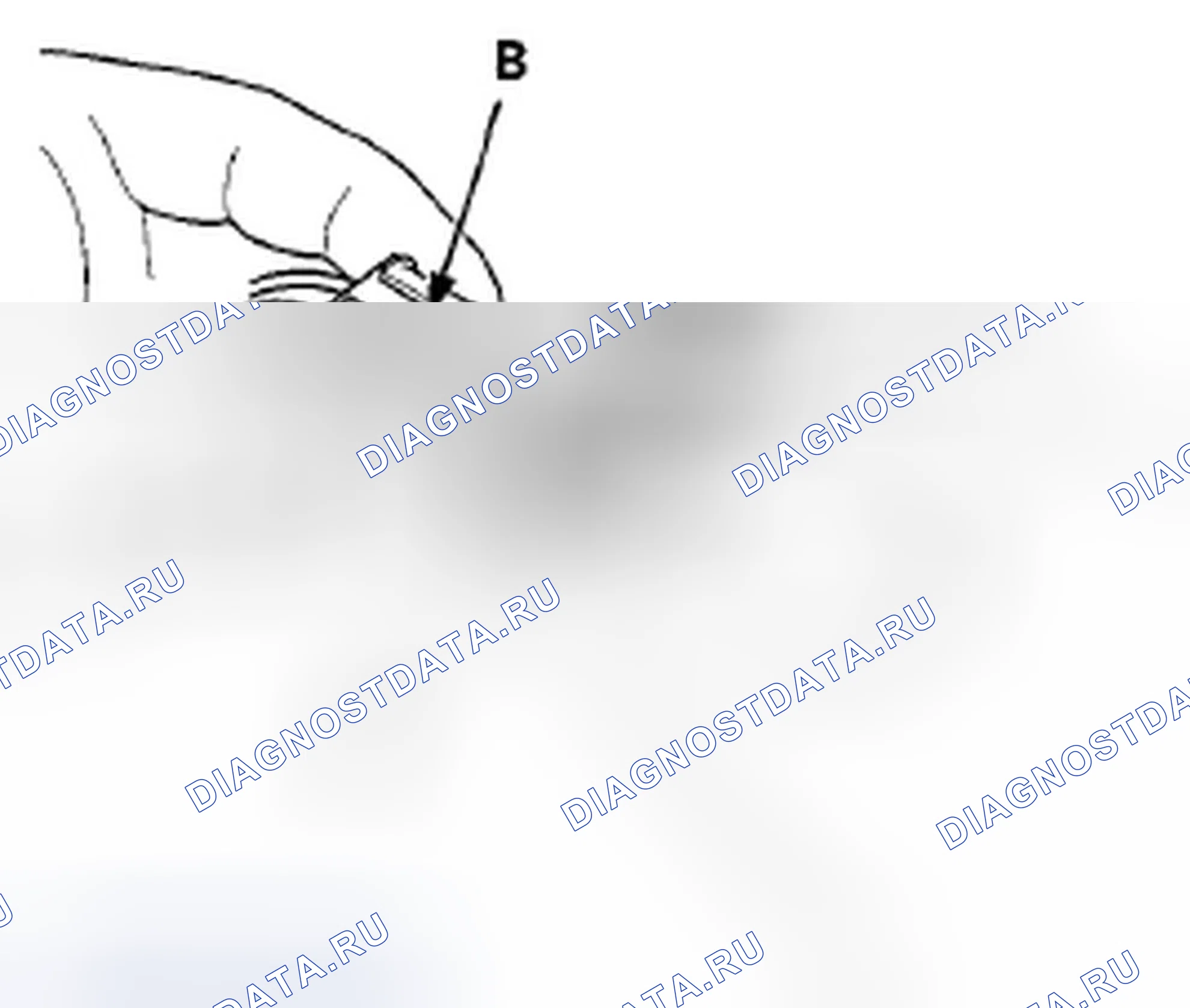 Рис. 240: Подключение. Acura ZDX I