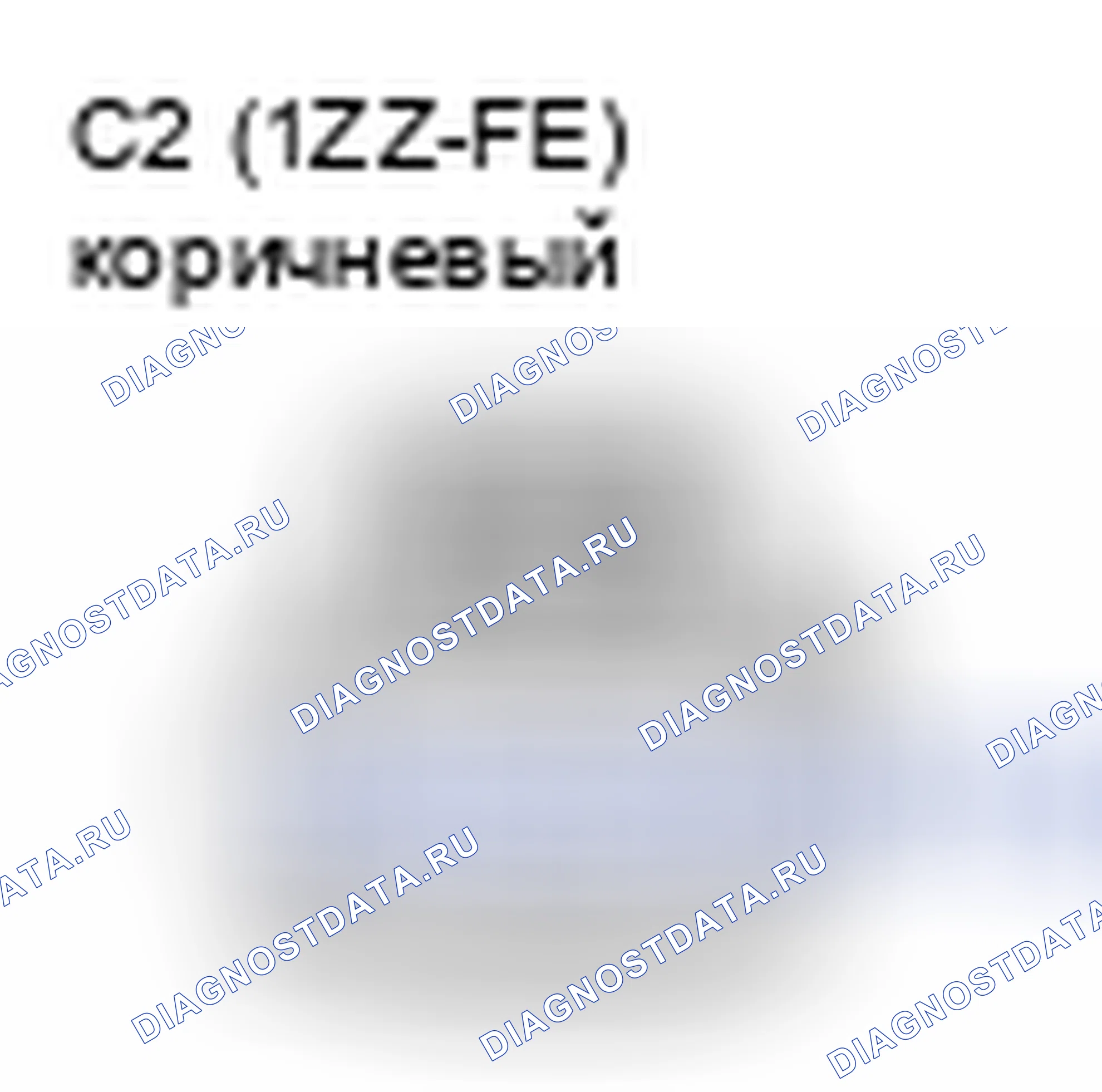 Рис. 550: Вид с торца соединителя (IP1). Toyota 4Runner IV рестайлинг