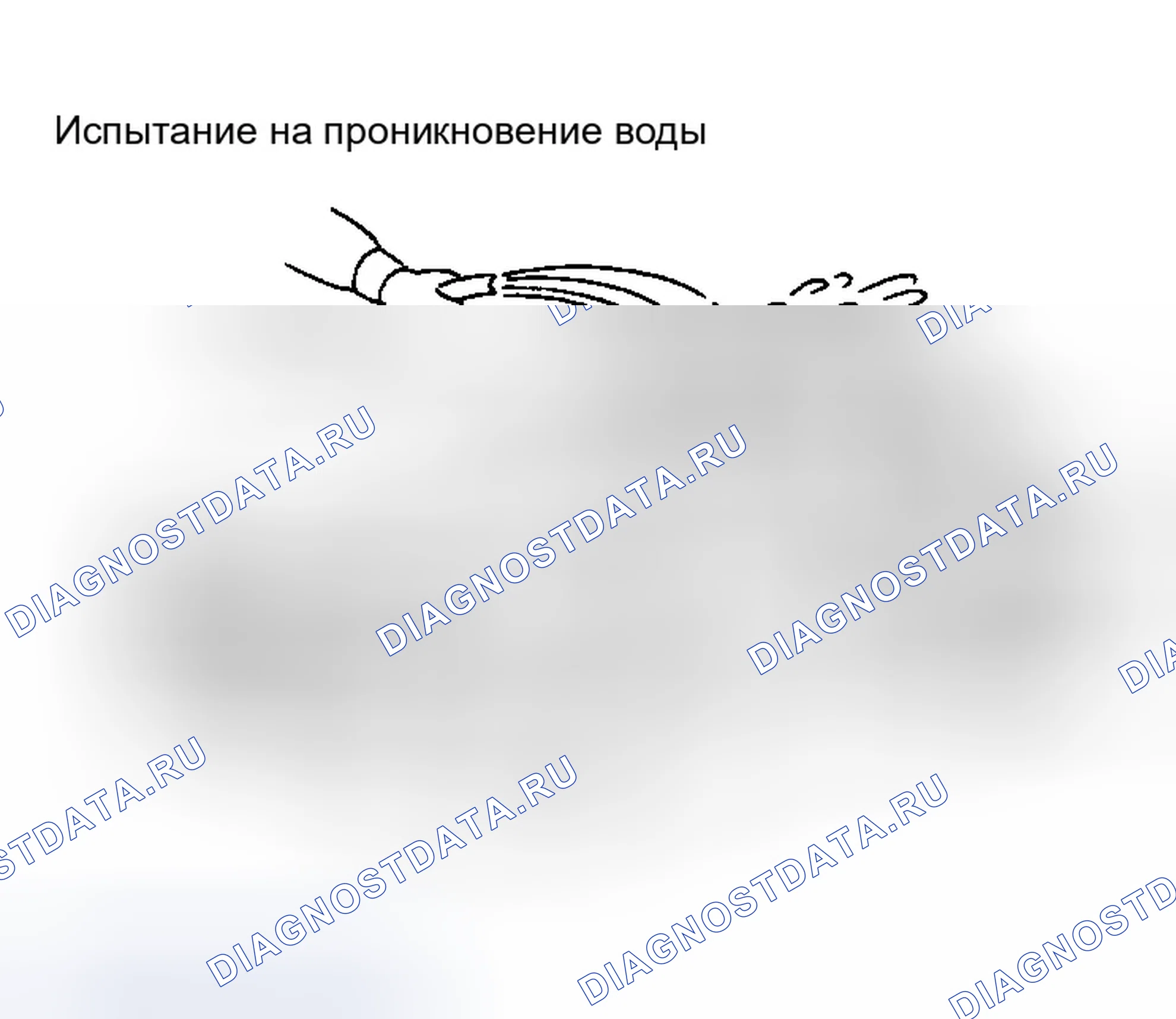 Рис. 294: Проникновение воды. Infiniti G35 III