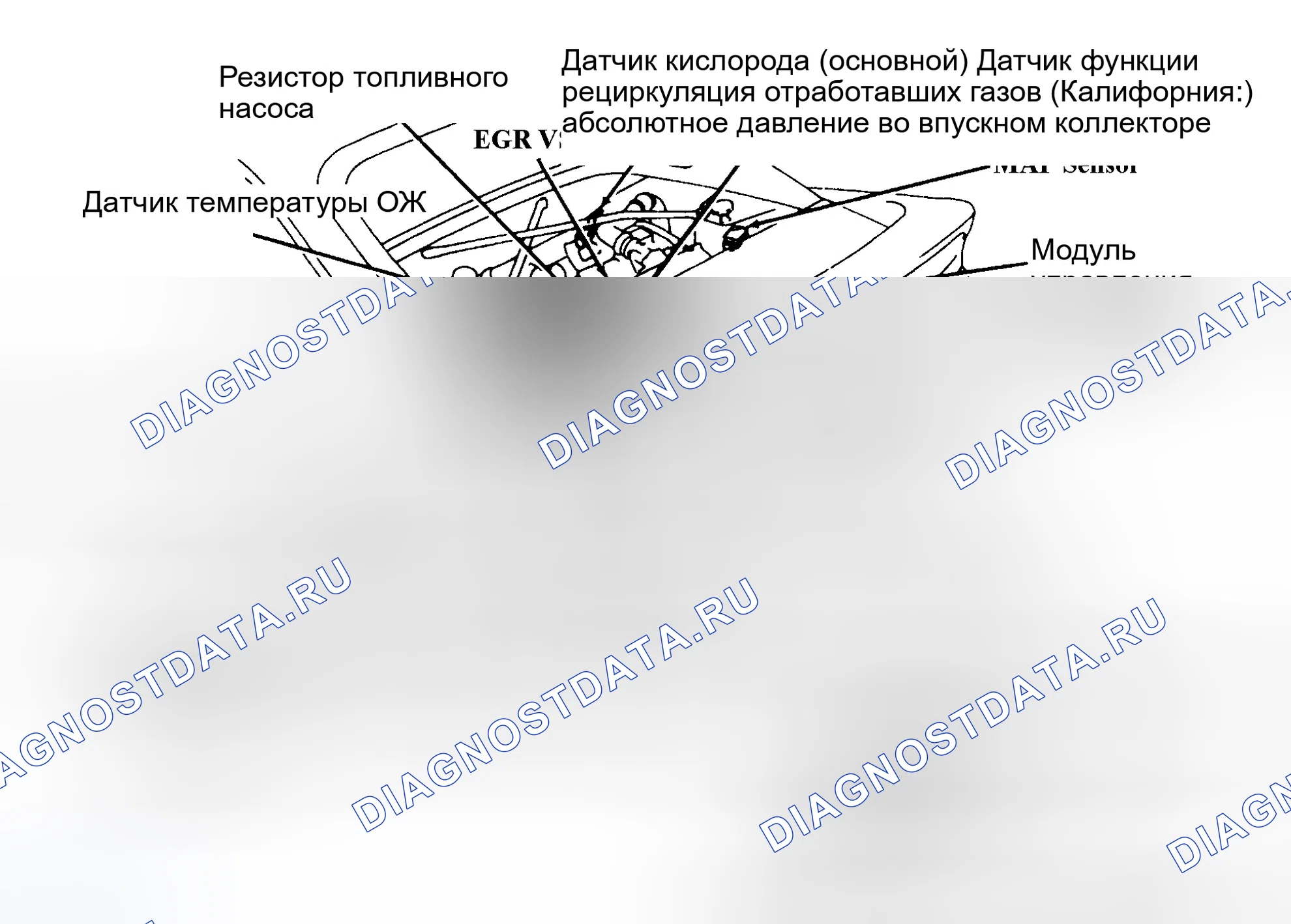 Рис. 2: Расположение компонентов (2 из 4). Toyota MR2 W20