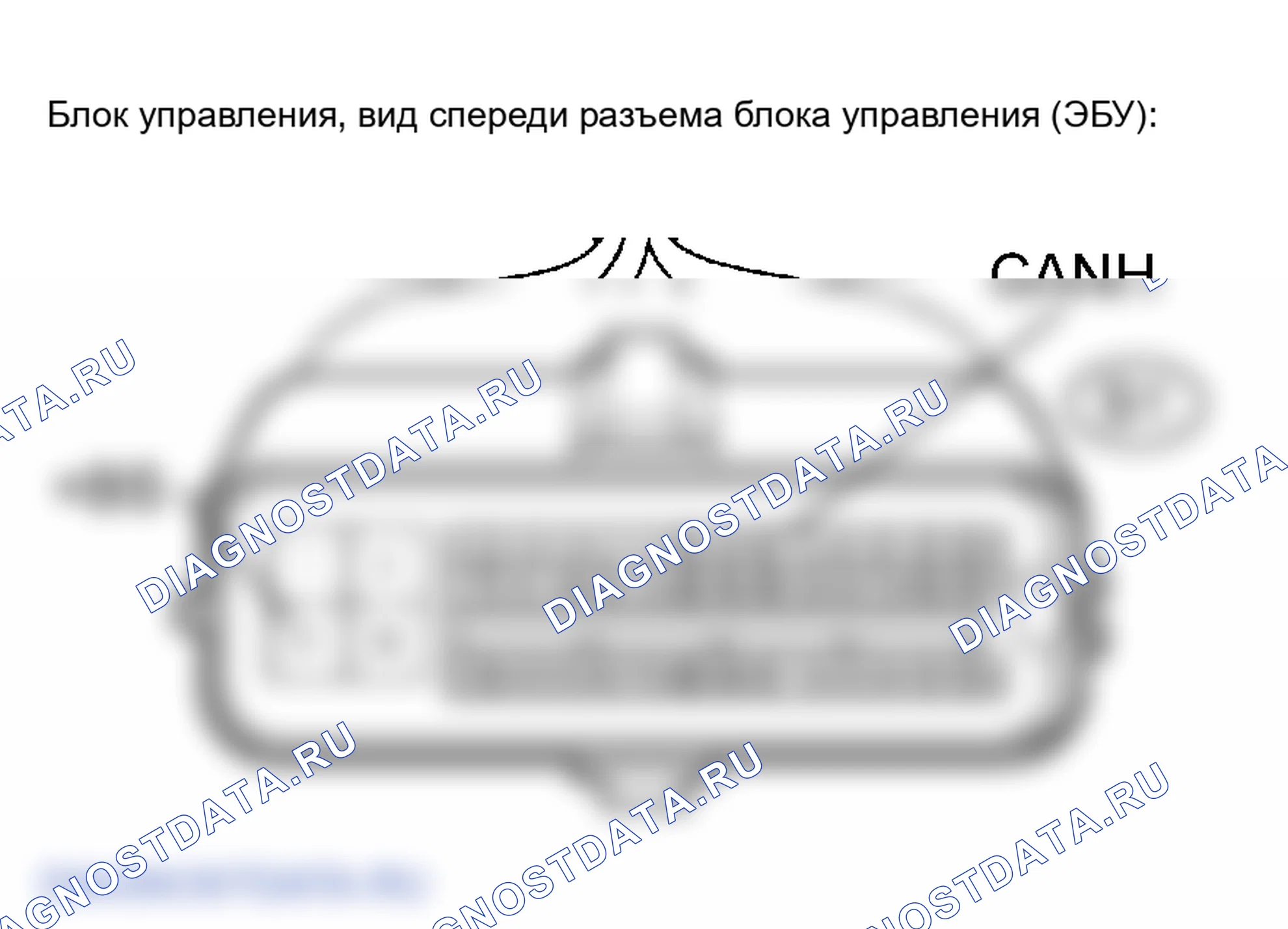 Рис. 499. Toyota Camry Solara II