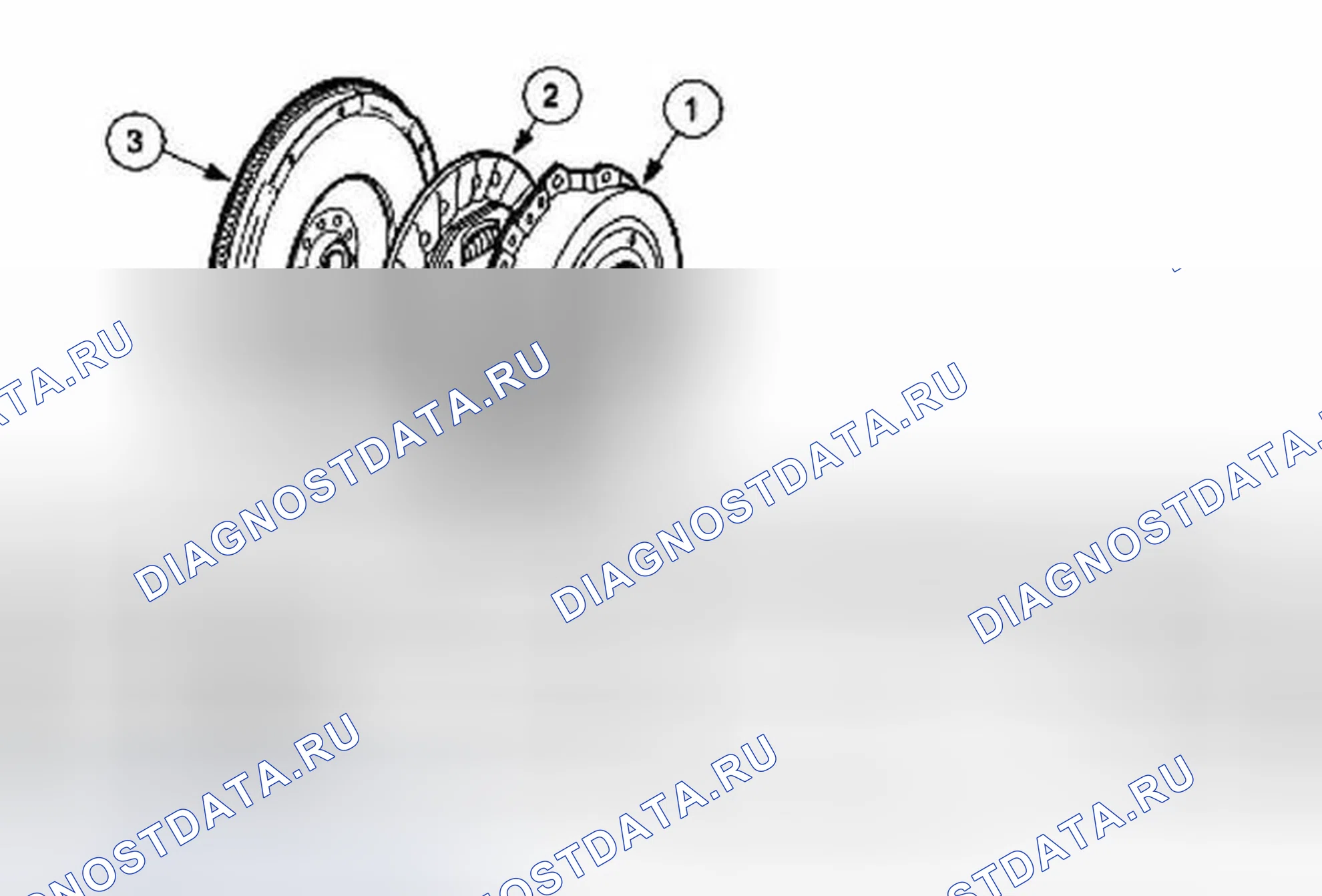 Рис. 4: Компоненты сцепления. Ford Focus I рестайлинг