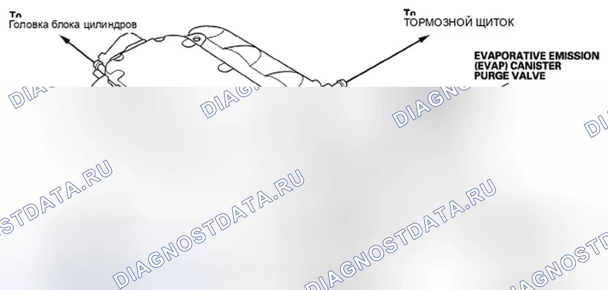 Рис. 7: Трассировка вакуумного шланга. Honda Ridgeline I рестайлинг