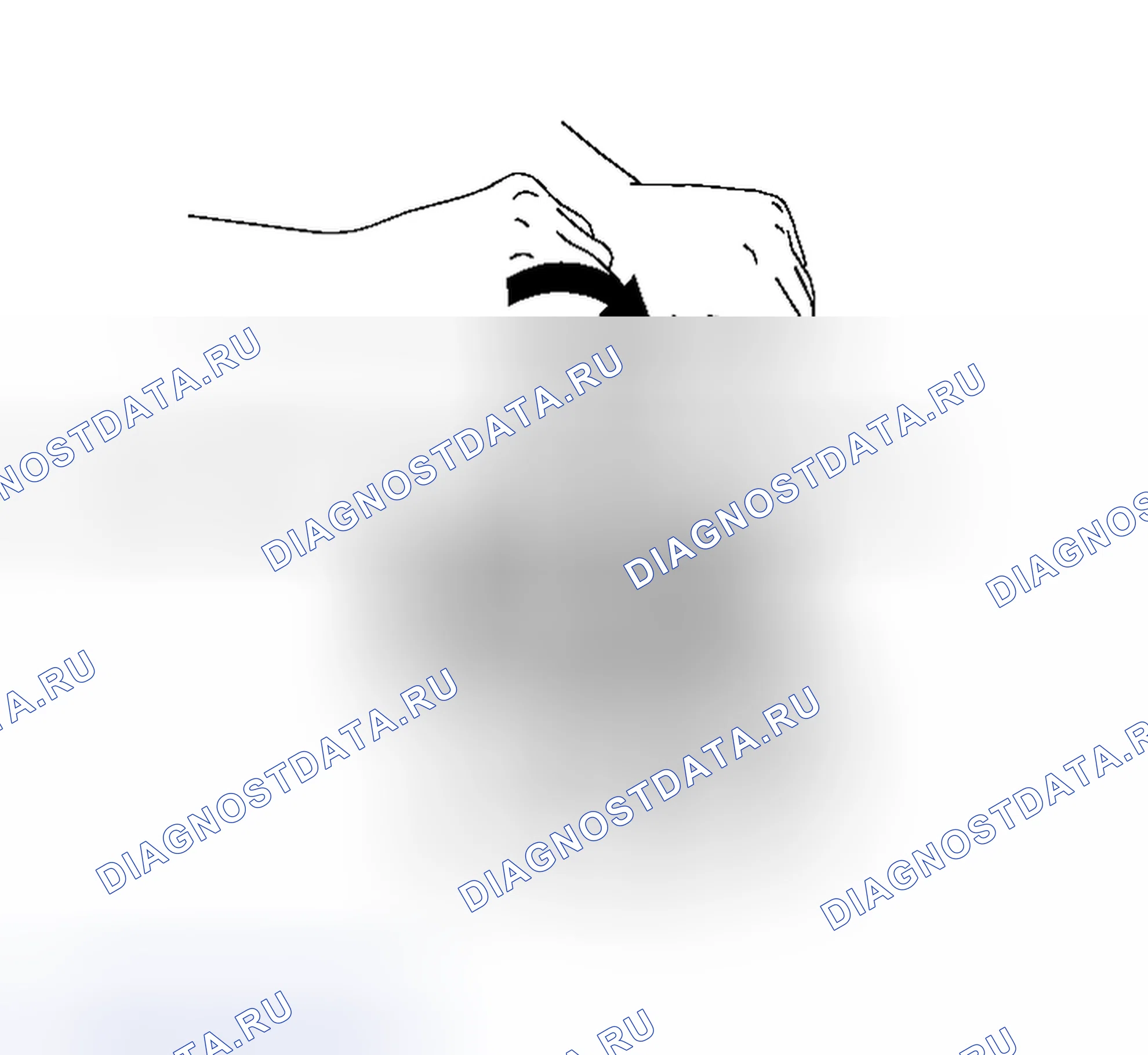 Рис. 163. Honda Mobilio I
