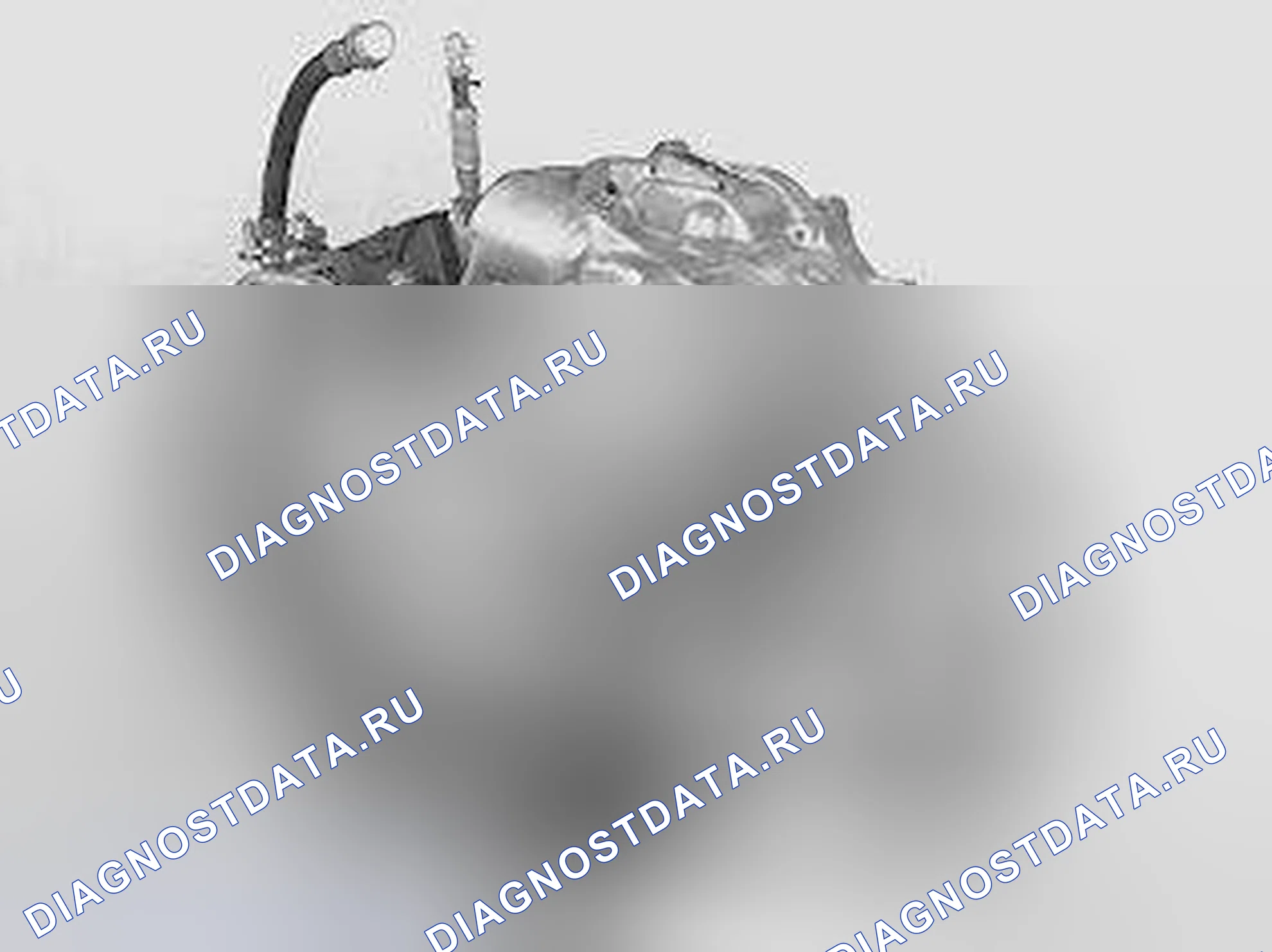 Рис. 1904. Volvo V70 II