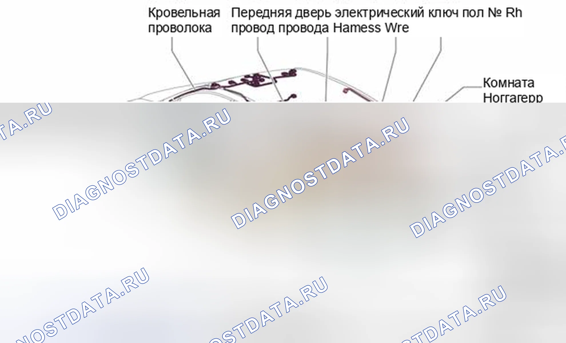 Рис. 512: Расположение наземных точек. Honda Accord V