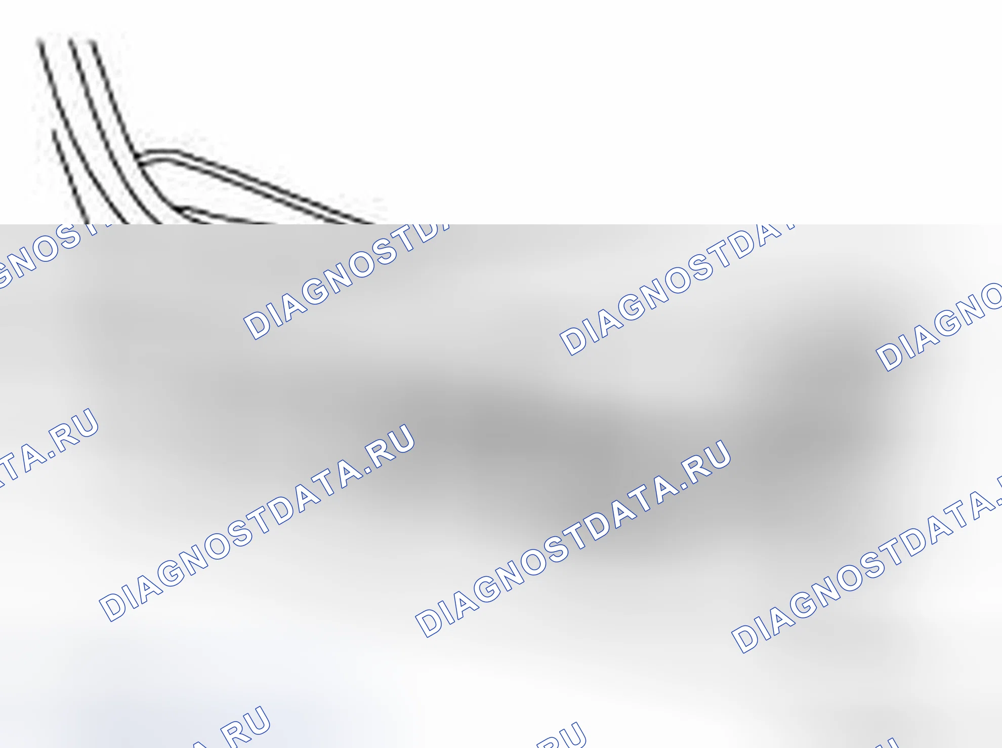 Рис. 580. Infiniti G37 IV рестайлинг