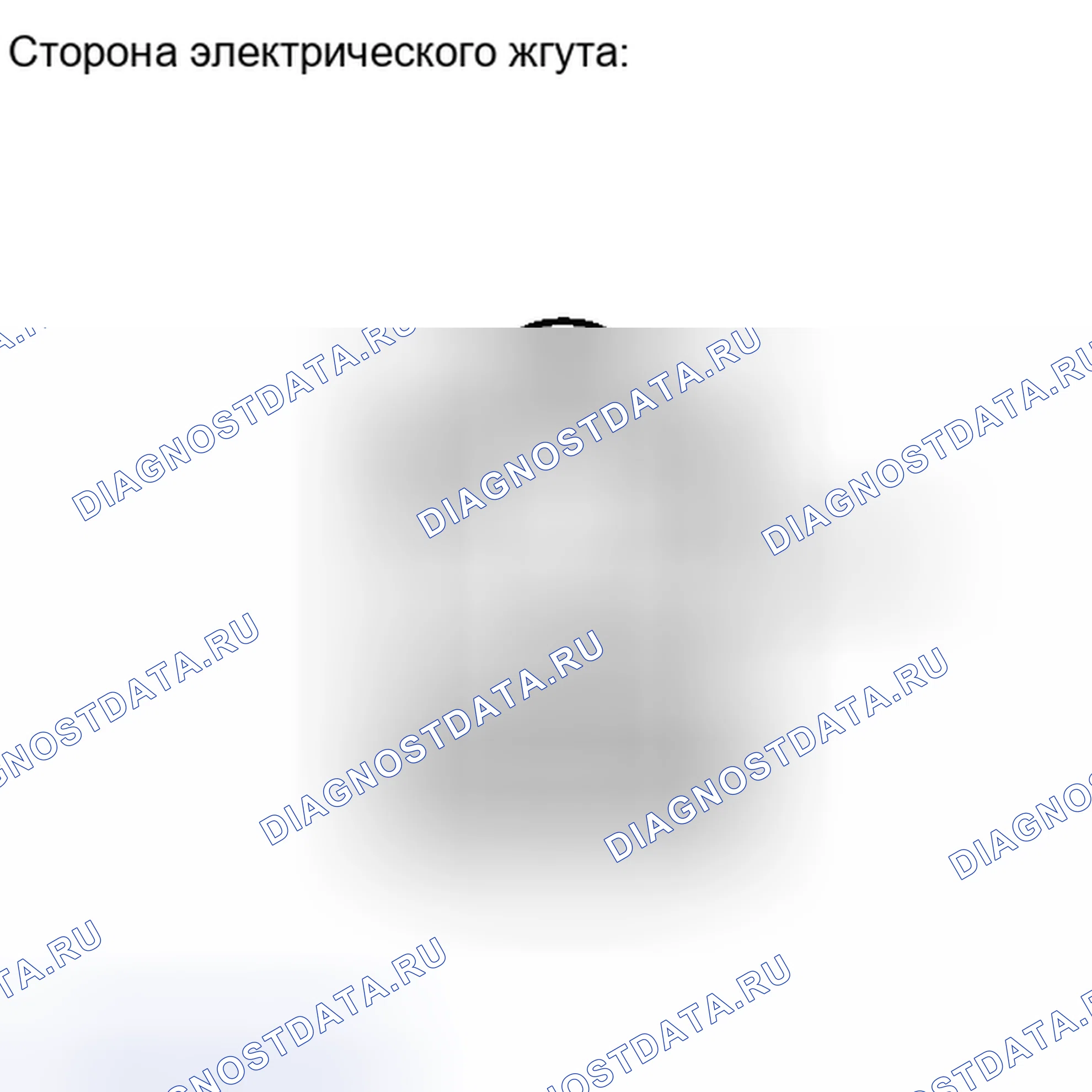 Рис. 244: ПОРЯДОК ВЫПОЛНЕНИЯ РАБОТ. Haval H6S I