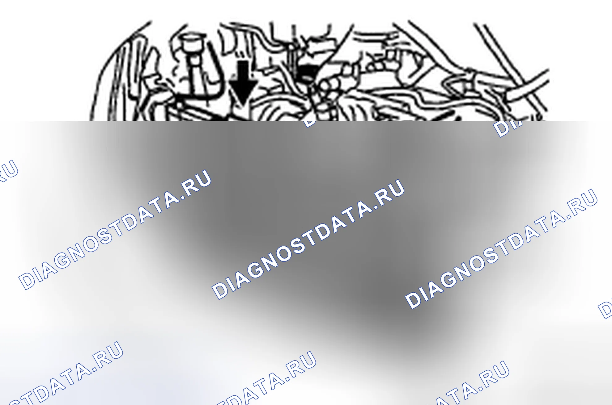 Рис. 47: УСТАНОВКА. Honda Accord IX