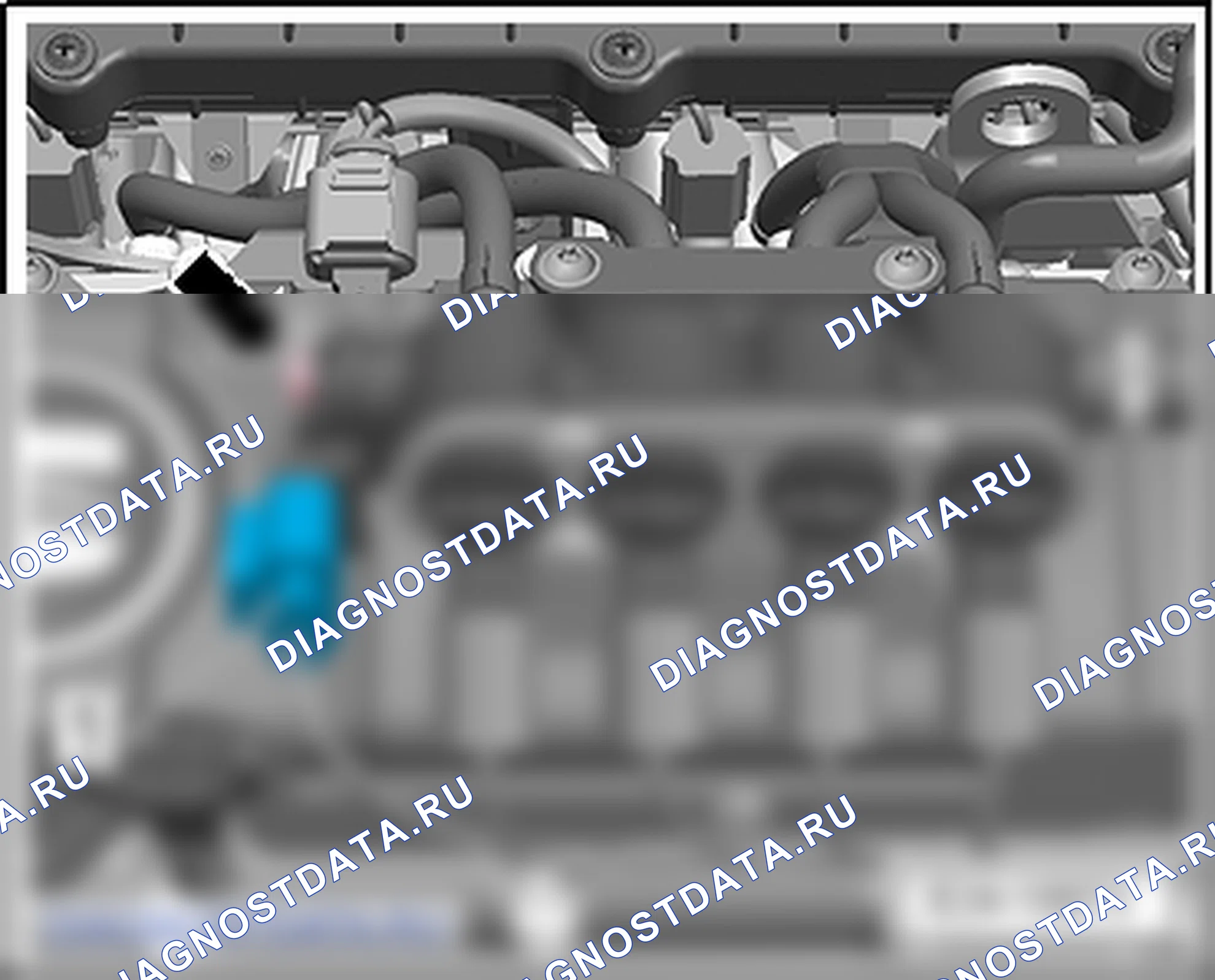 Система впрыска топлива (4-цилиндровый впрысковый двигатель (1,6 л, BiFuel)). SEAT Ibiza IV