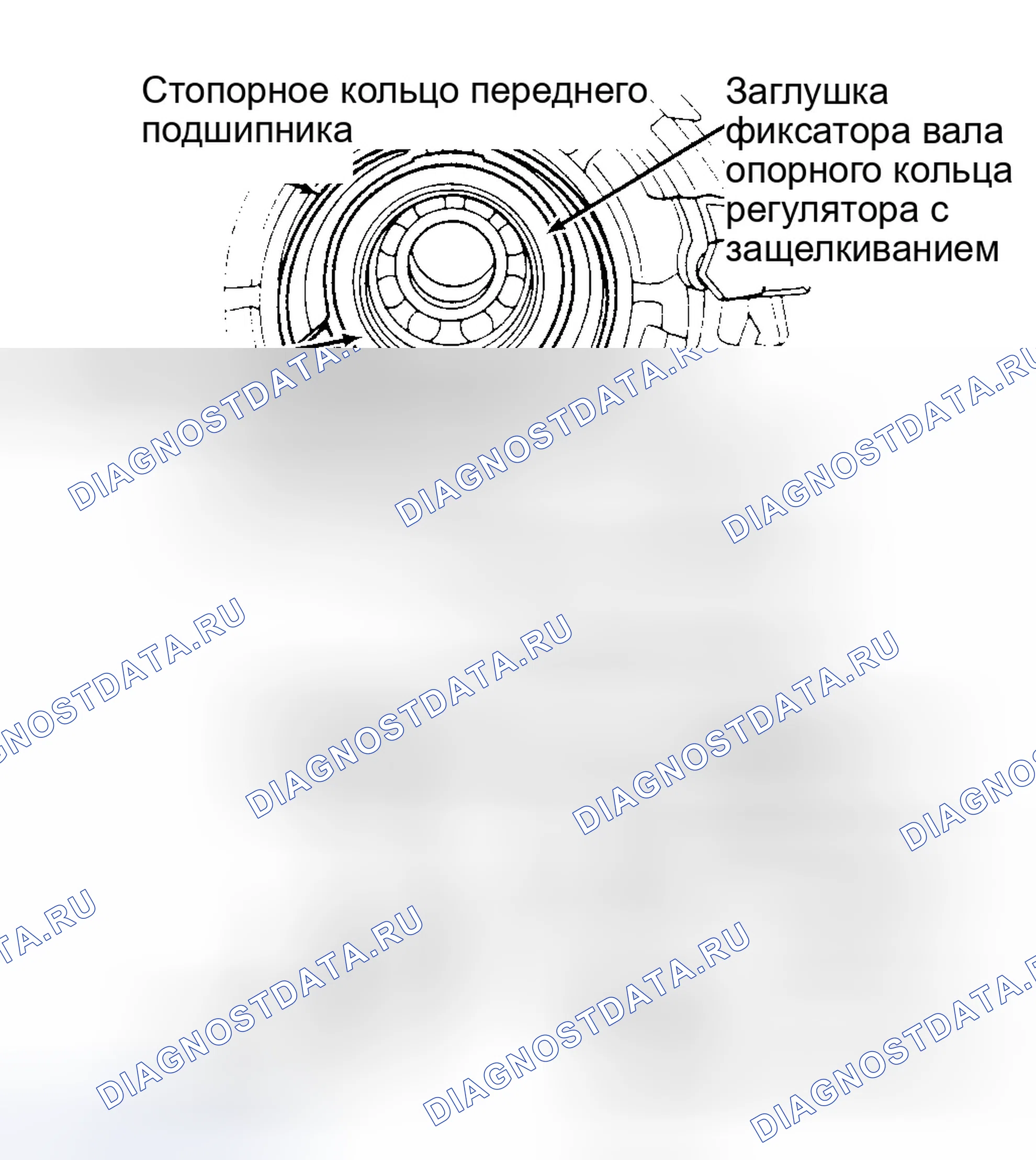 Рис. 96. Dodge Dakota WS 